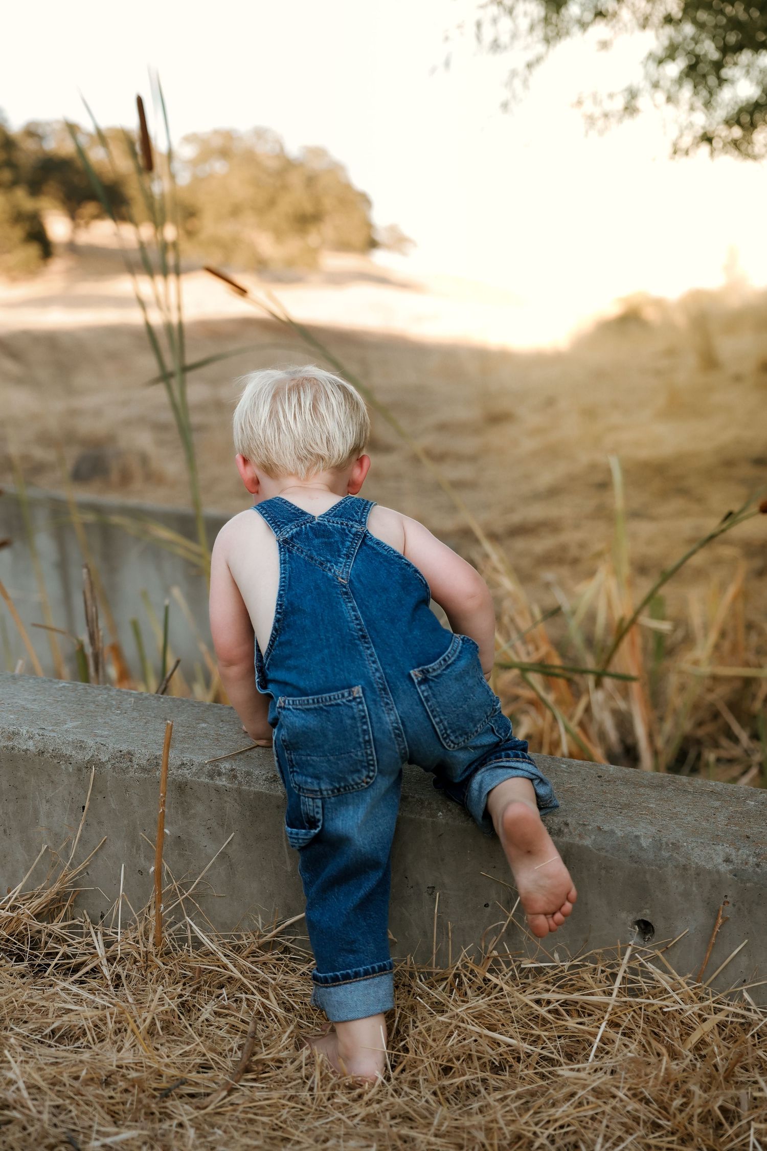 Child in blue overalls explores grassy terrain near concrete wall during sunset.