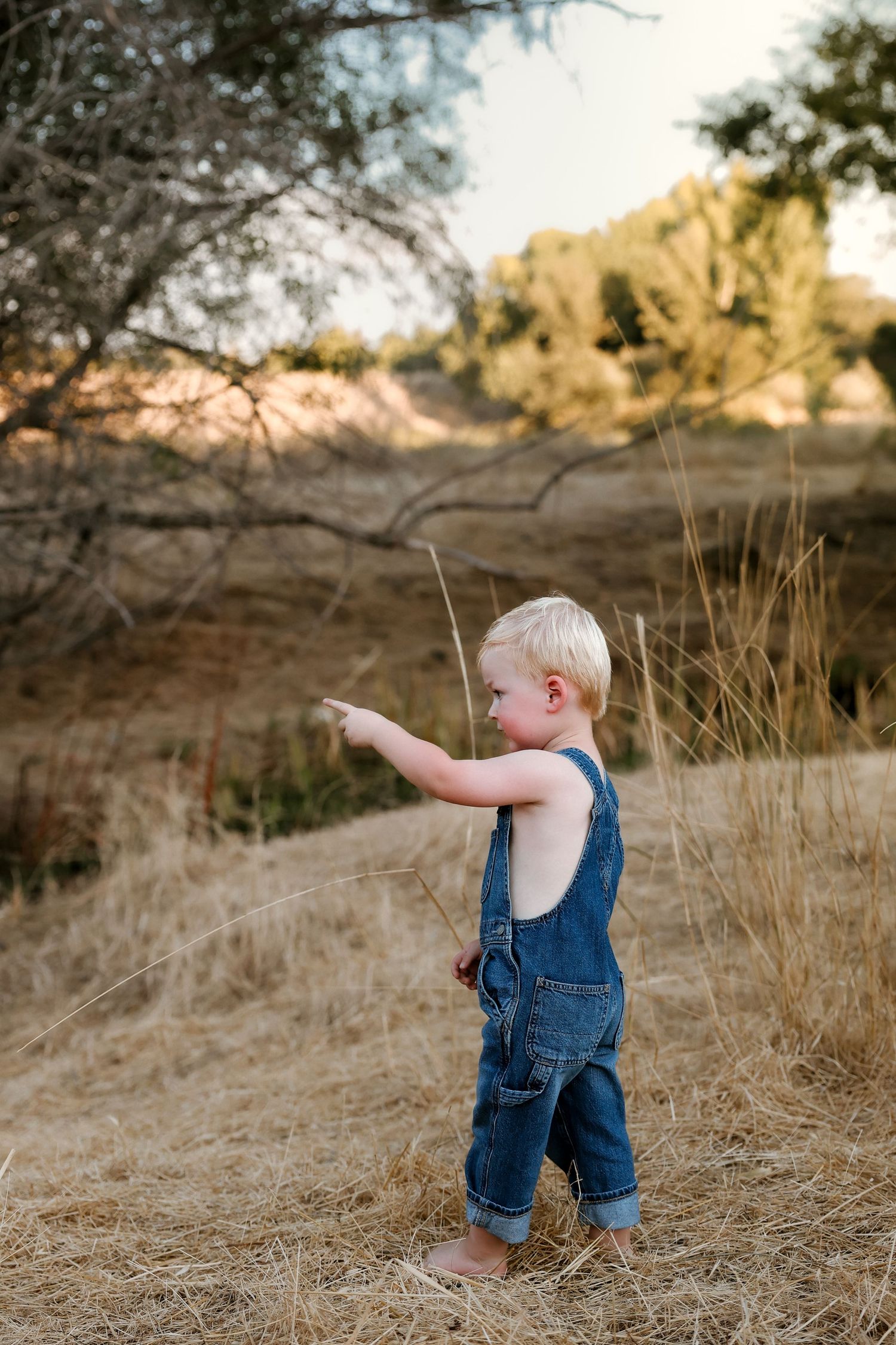 Toddler in denim overalls walks through golden grass at sunset.