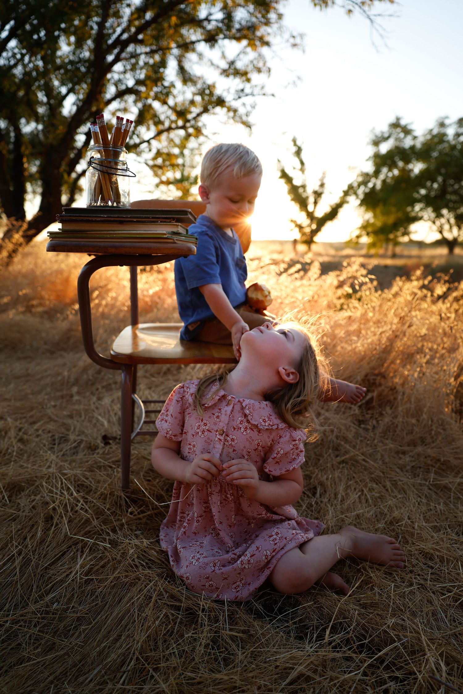 Playful scene in tall grass with vintage furniture and warm sunset lighting.