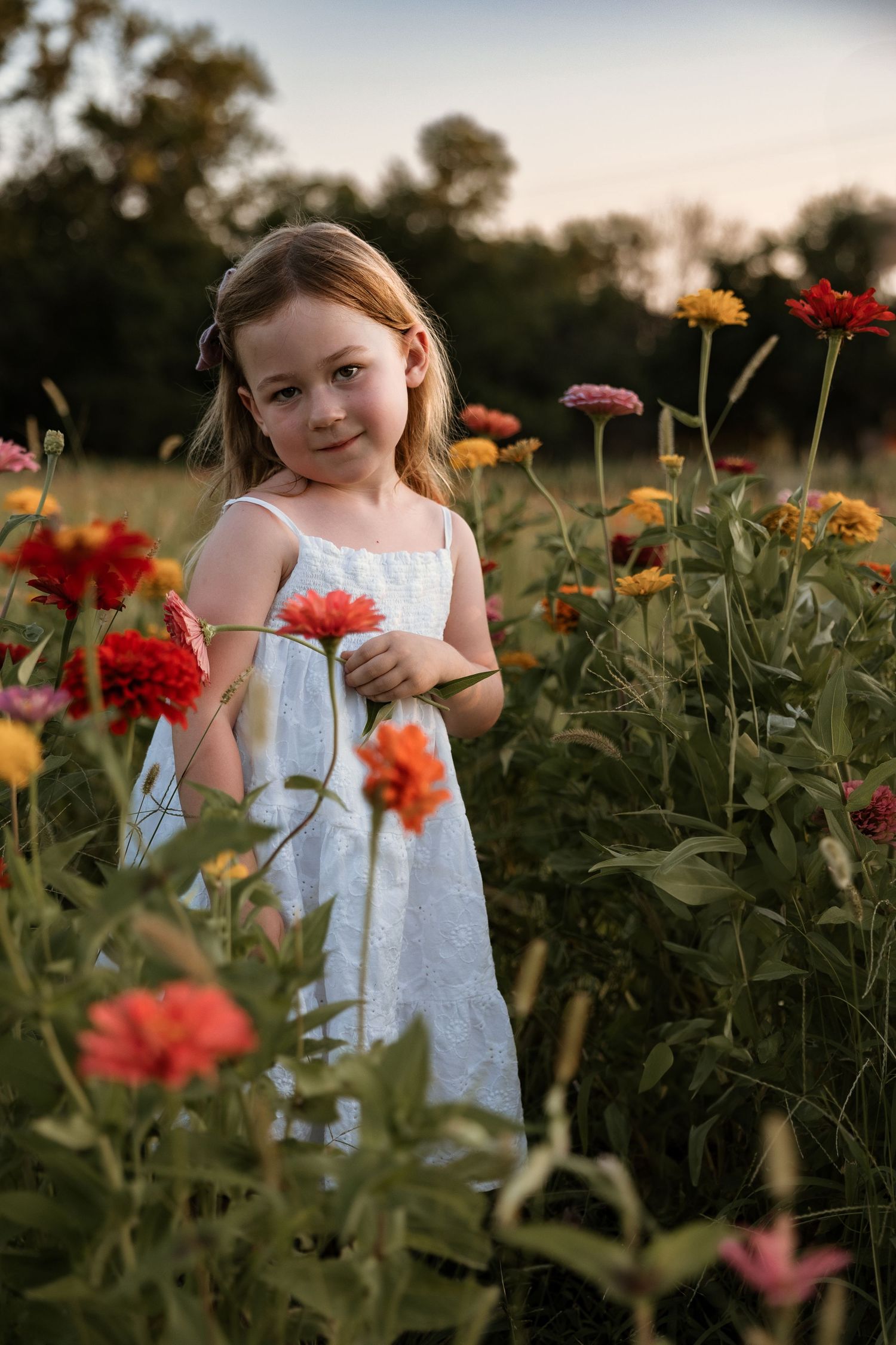 White eyelet dress contrasts beautifully with colorful zinnia flowers in a golden-hour garden setting.