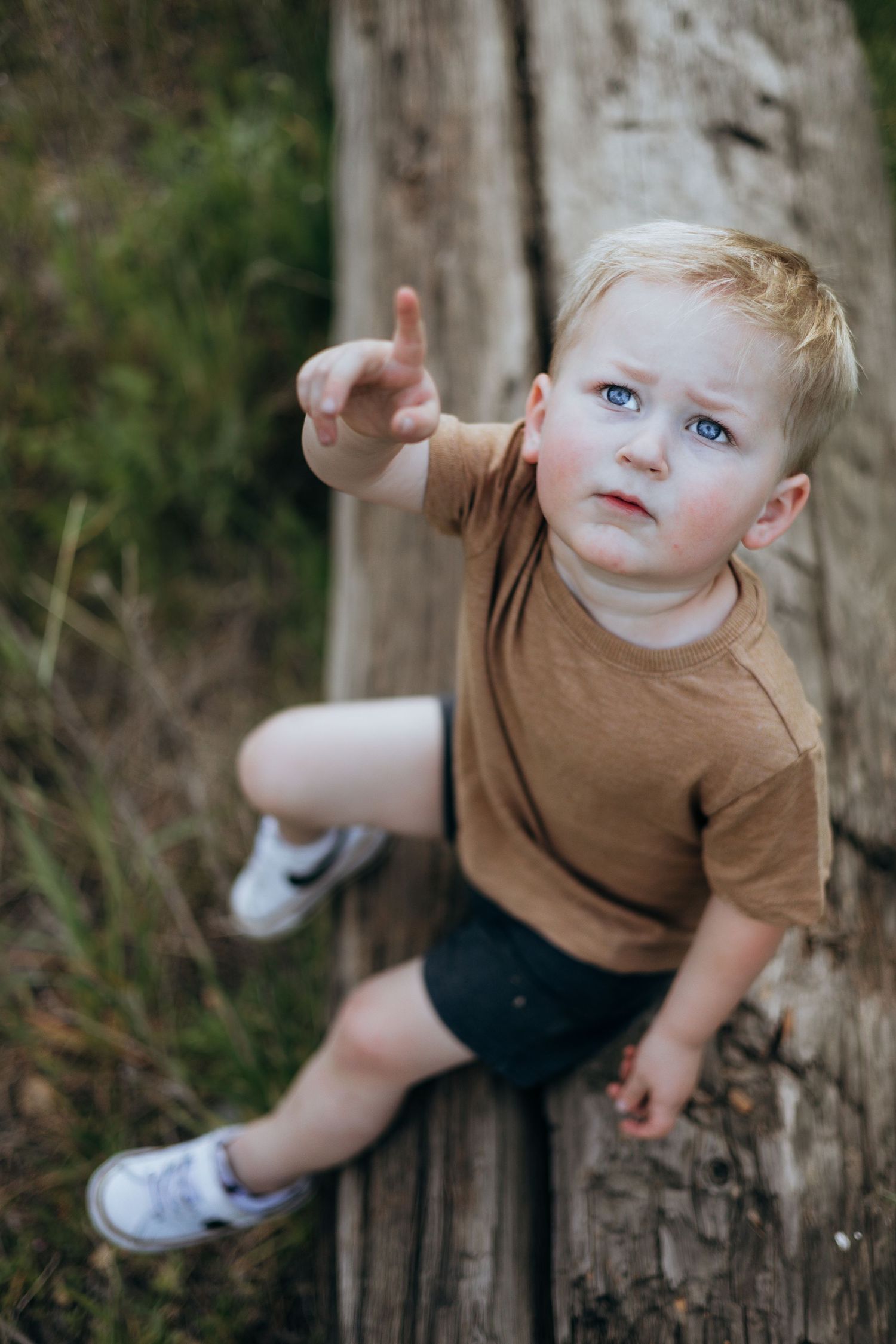 Toddler boy with blue eyes in brown shirt pointing finger while sitting on rustic wooden log outdoors.