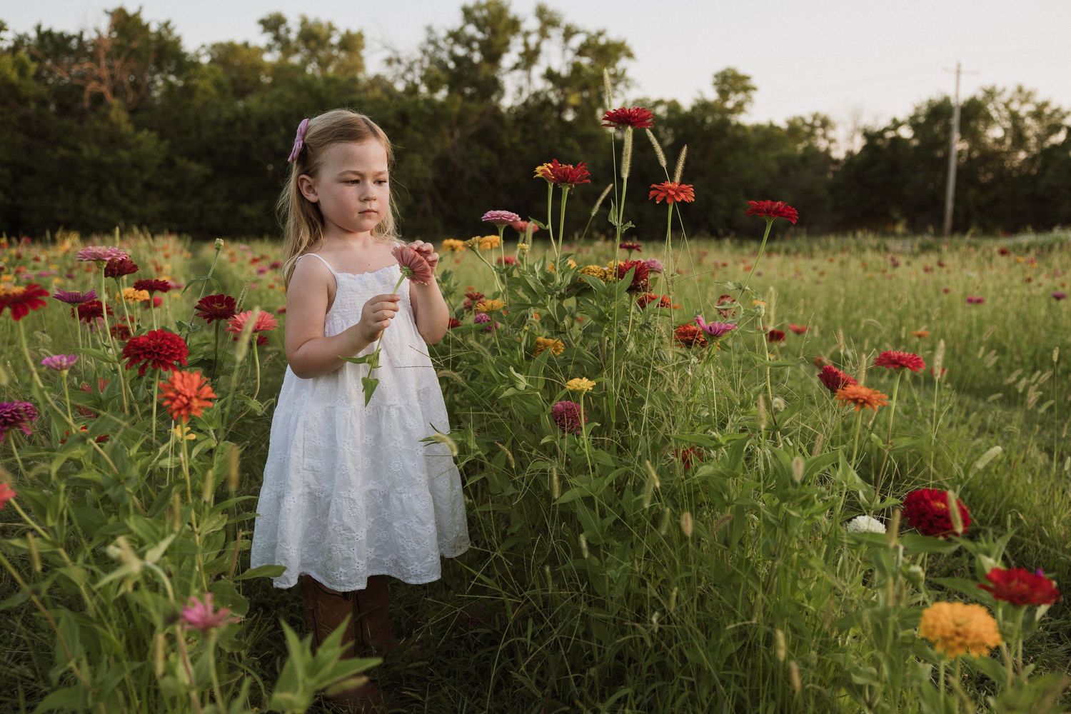 Children exploring a wildflower field with red and orange blooms.