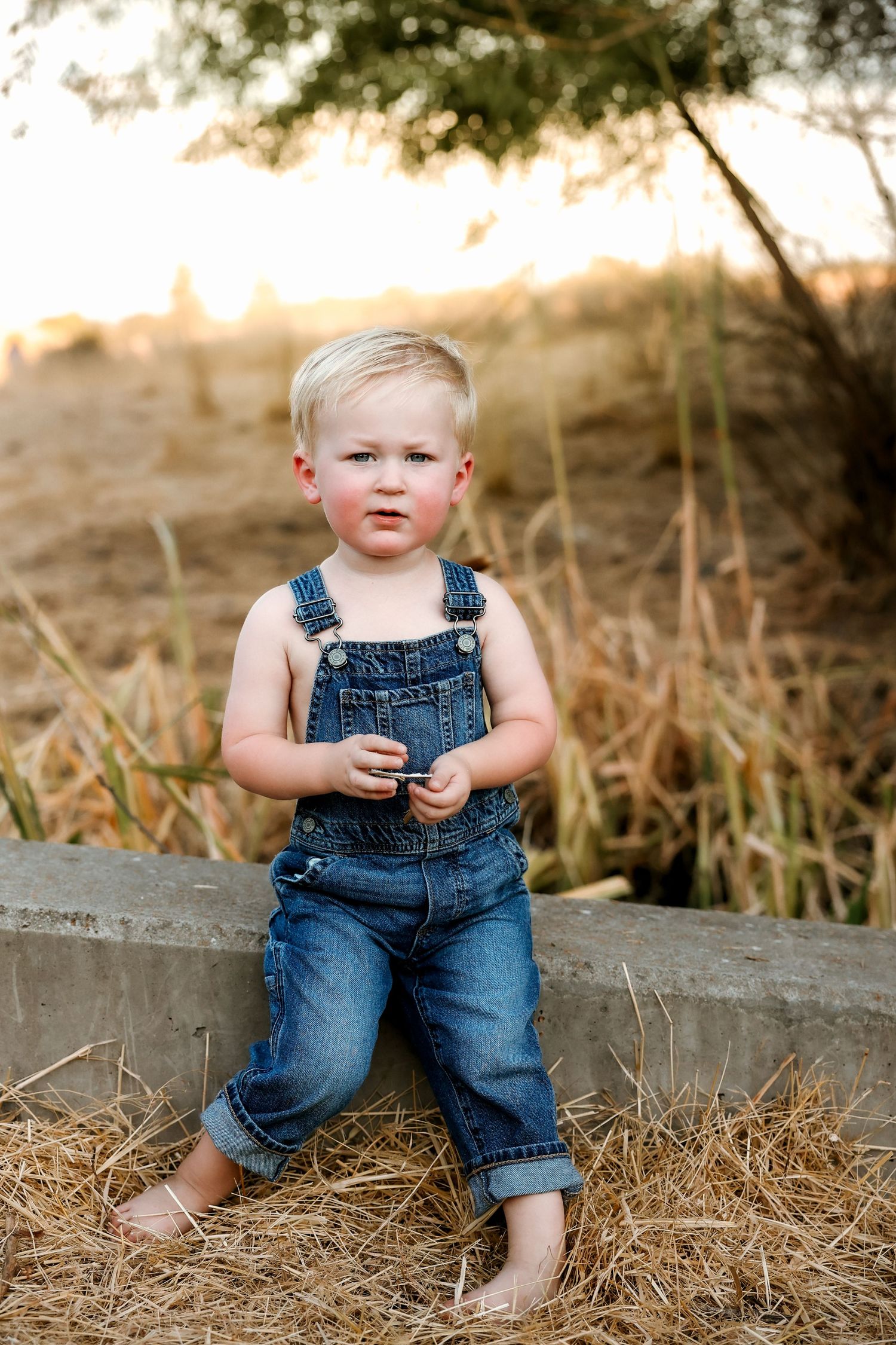 Child in denim overalls sits on concrete ledge surrounded by dry grass.