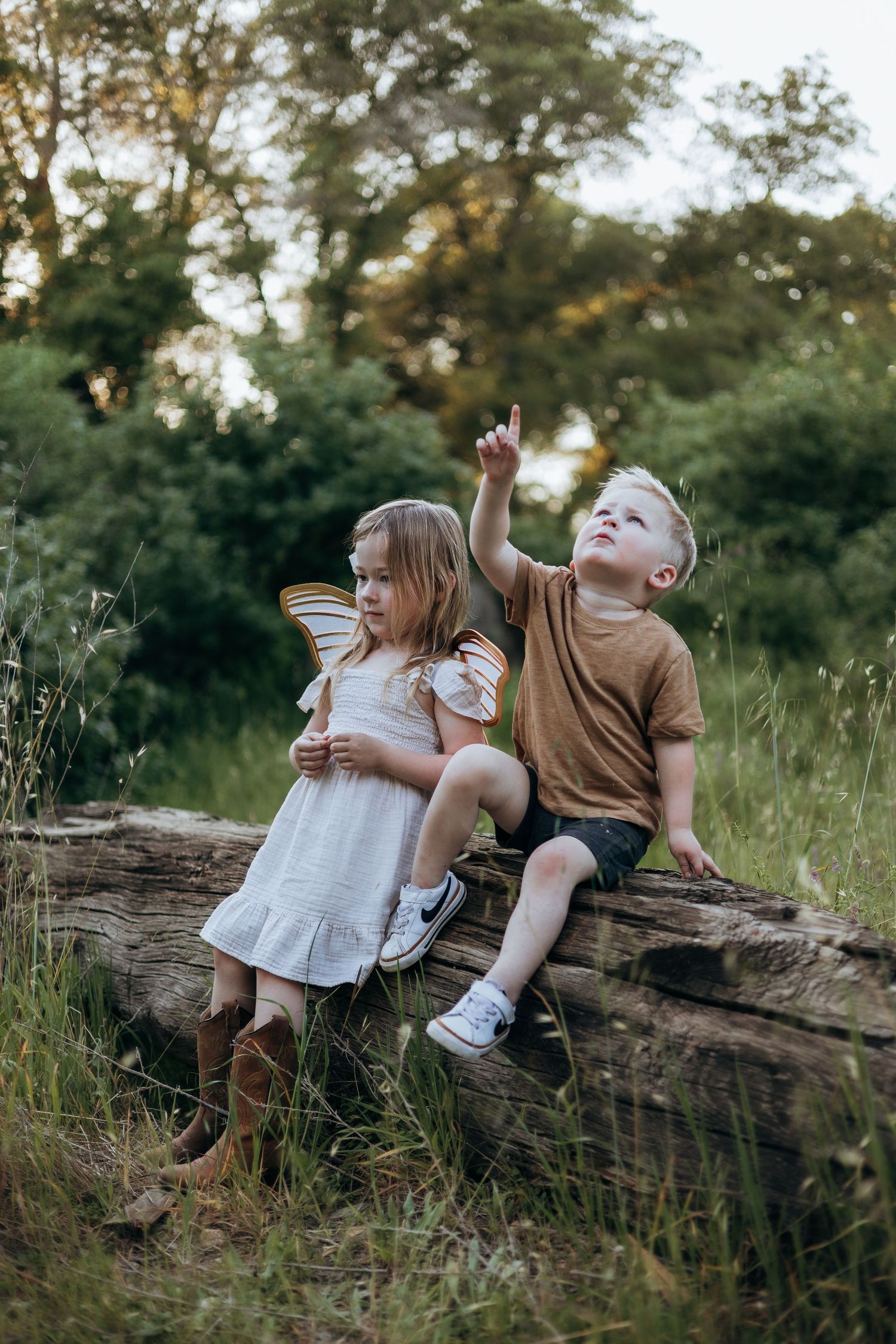 Two young children sit on a log in a meadow, girl in fairy wings and boy pointing upward.