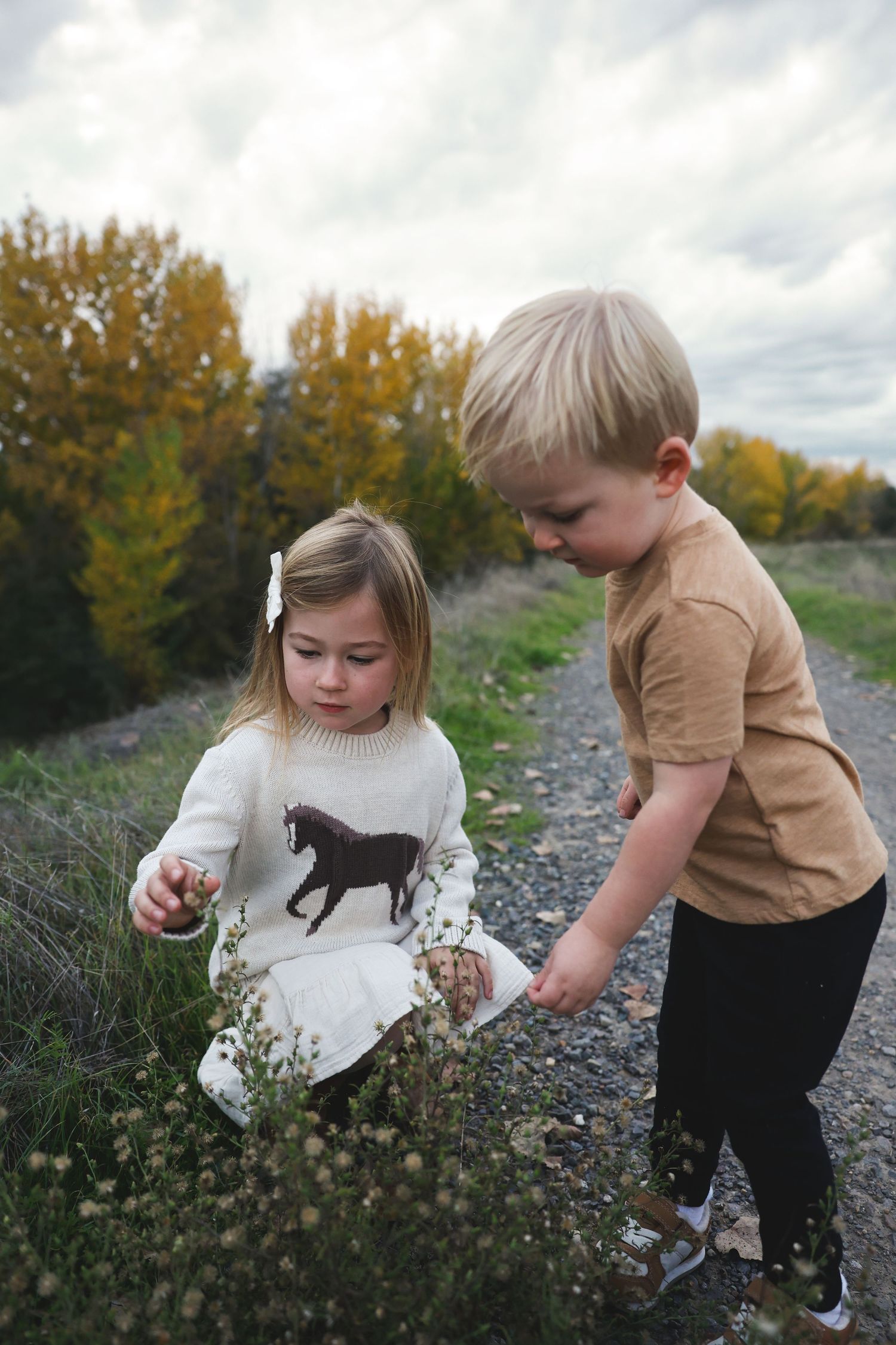 Children explore dried wildflowers along a gravel path on an autumn day.