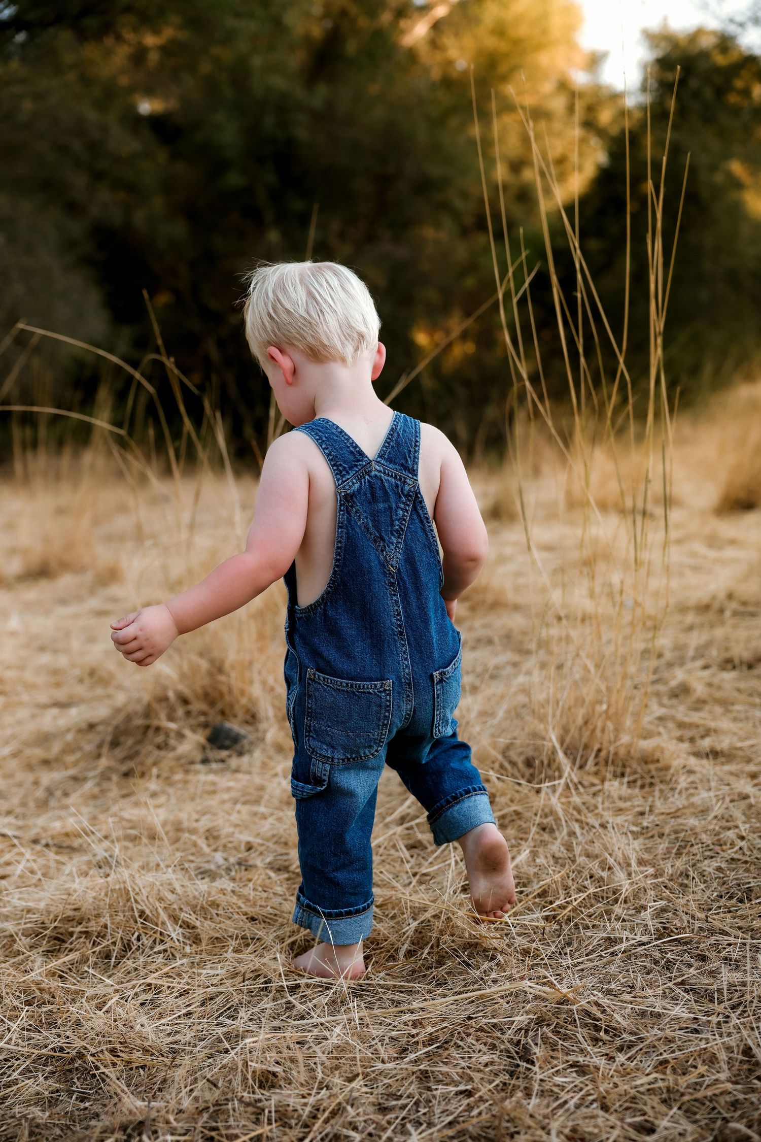 Child wearing denim overalls walks through tall dry grass in natural outdoor setting.