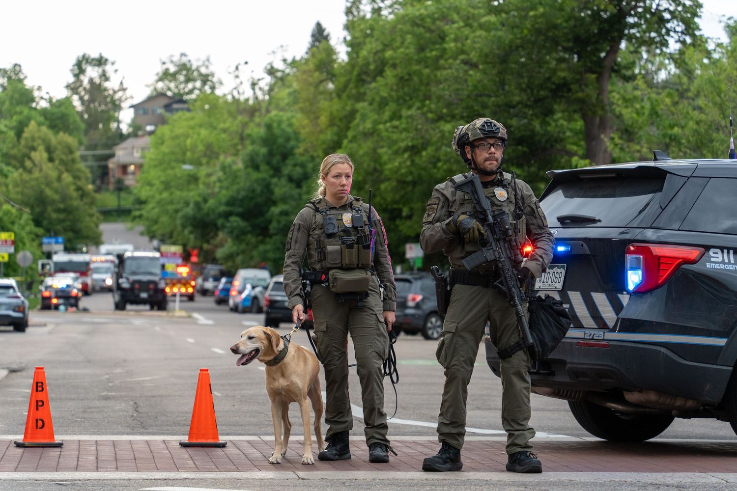 Police officers and K9 unit patrolling urban area with vehicles and traffic cones.