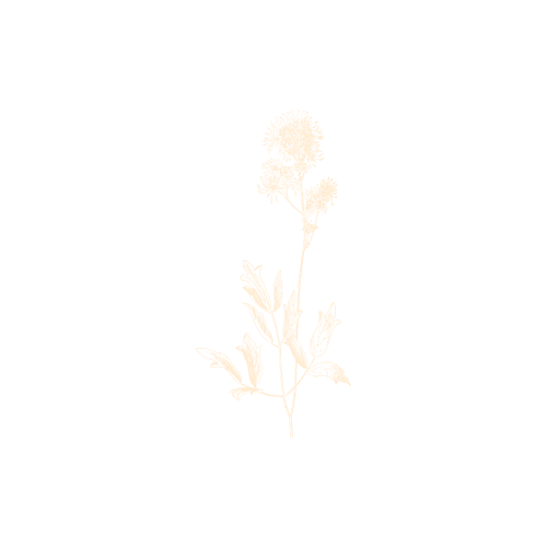 White background with a subtle light beige gradient pattern creating a soft textural effect.