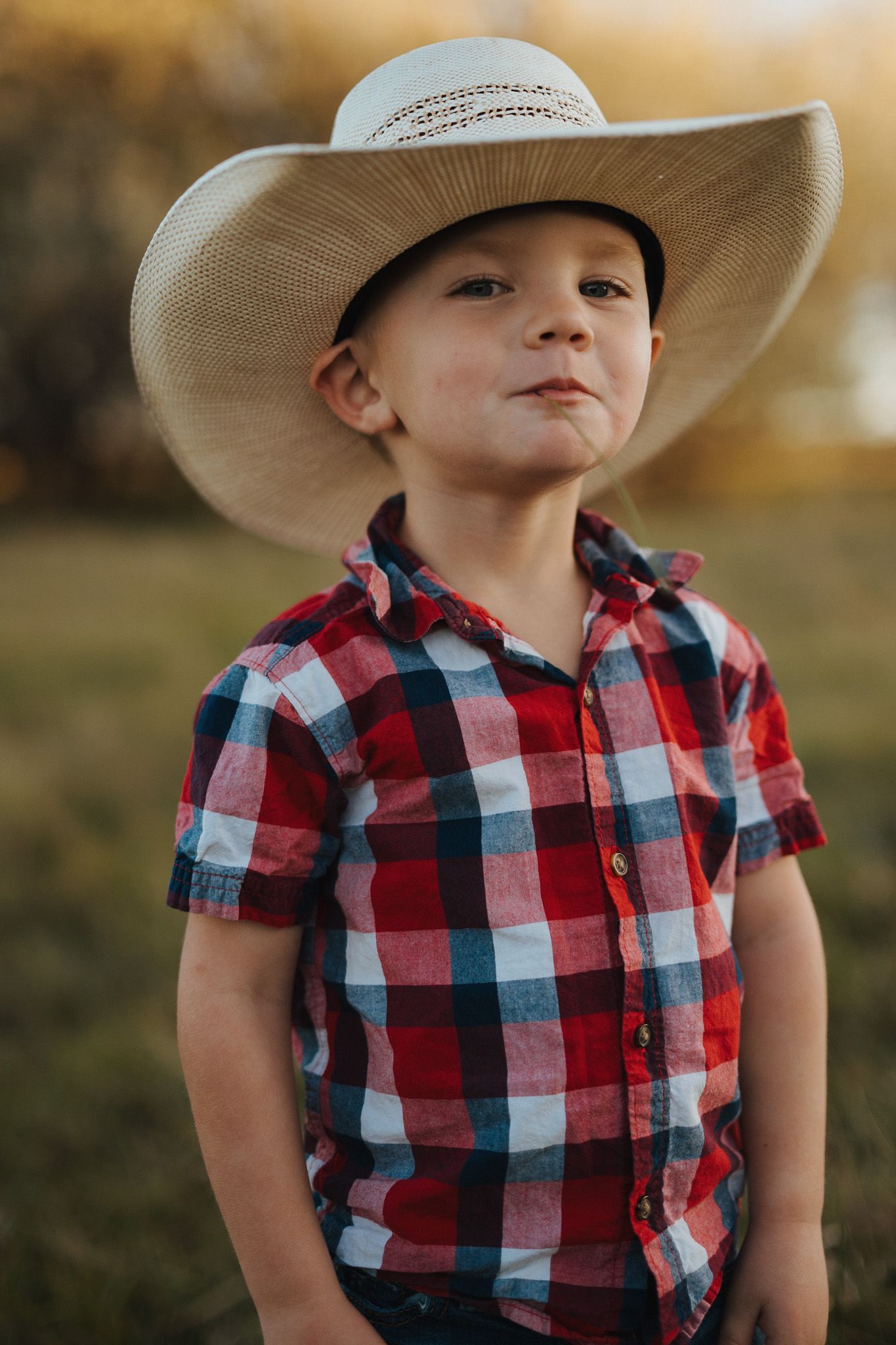 A small child in a red plaid shirt and cowboy hat against a warm sunset background.