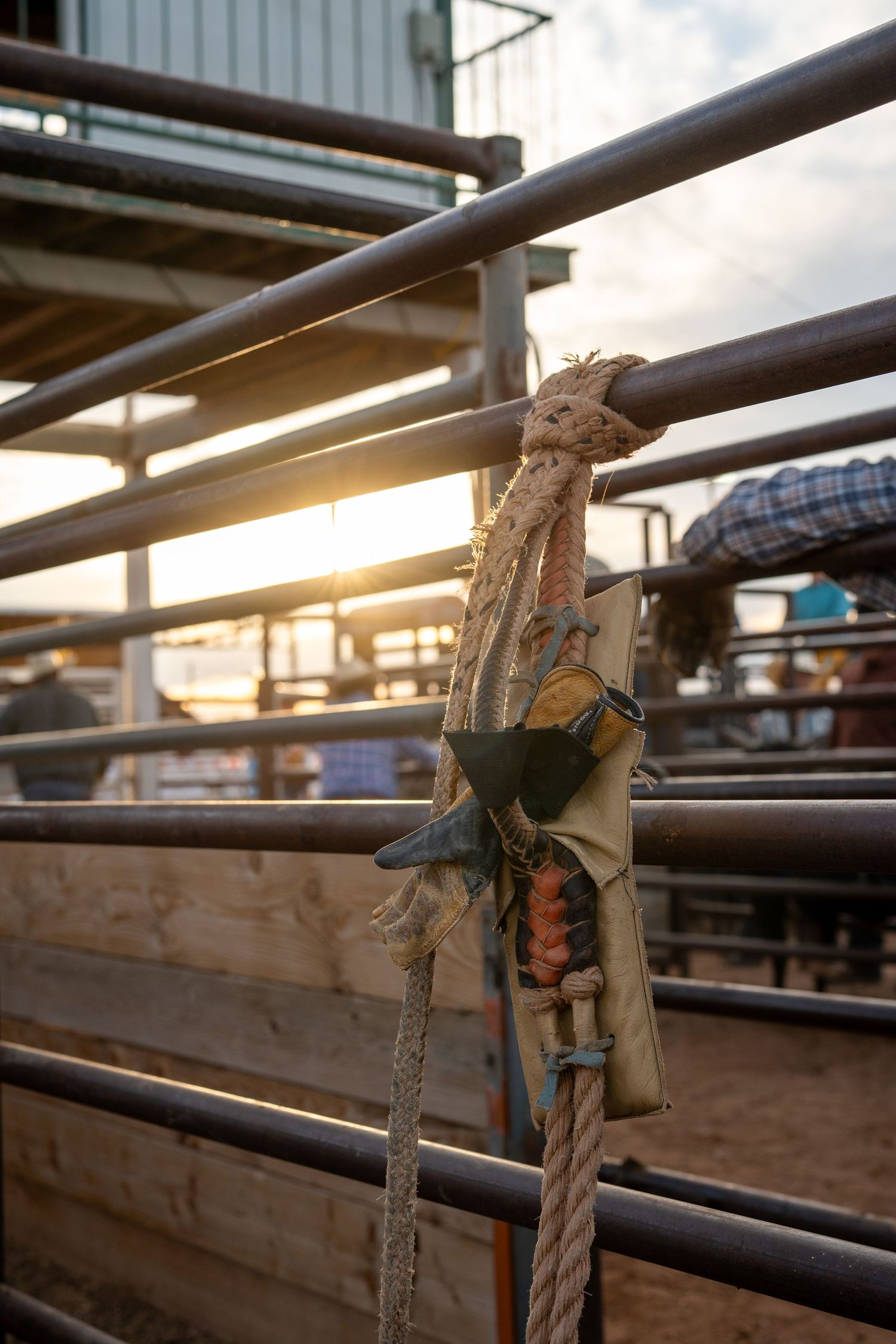 A bull rider's equipment hands on a fence as sunlight peeks through.