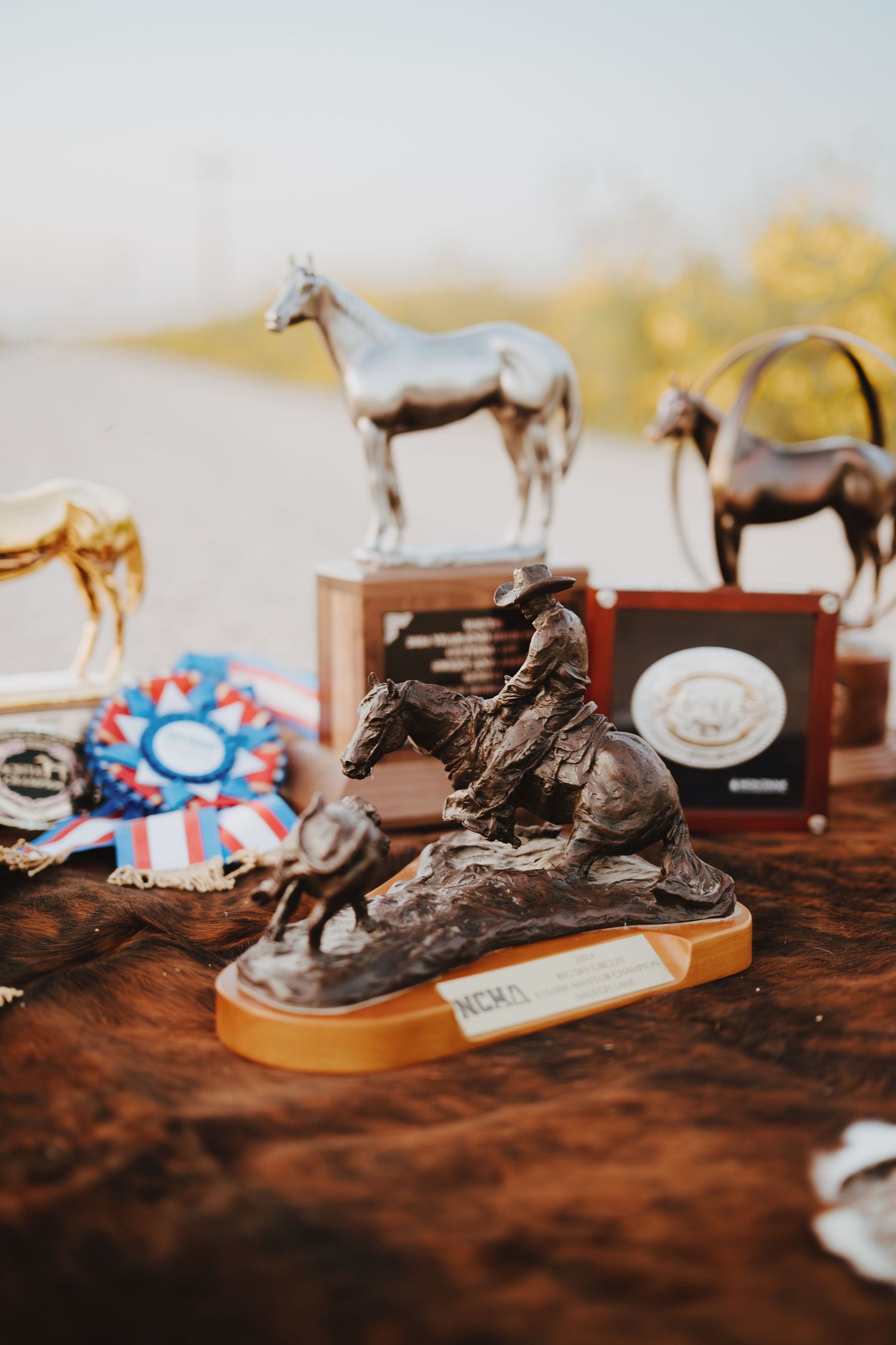 A bronze statue of a horse and rider, with additional silver and bronze statues in the background.