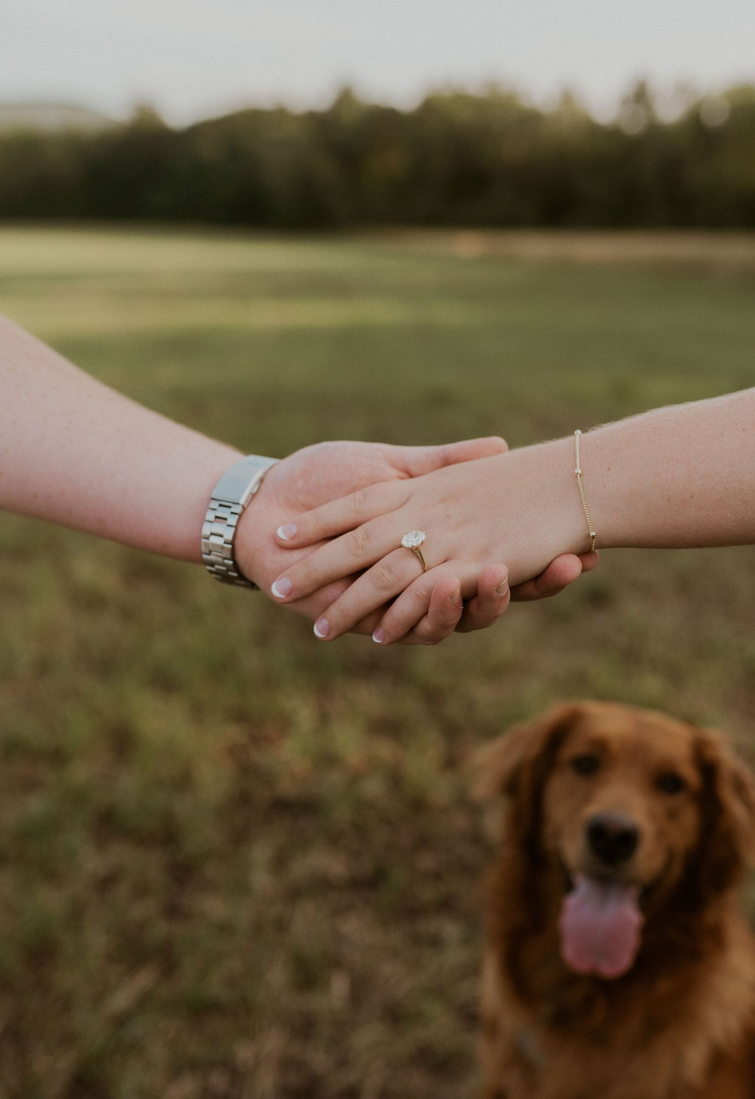 Two hands clasped together with an engagement ring while a happy golden retriever smiles in the background outdoors.