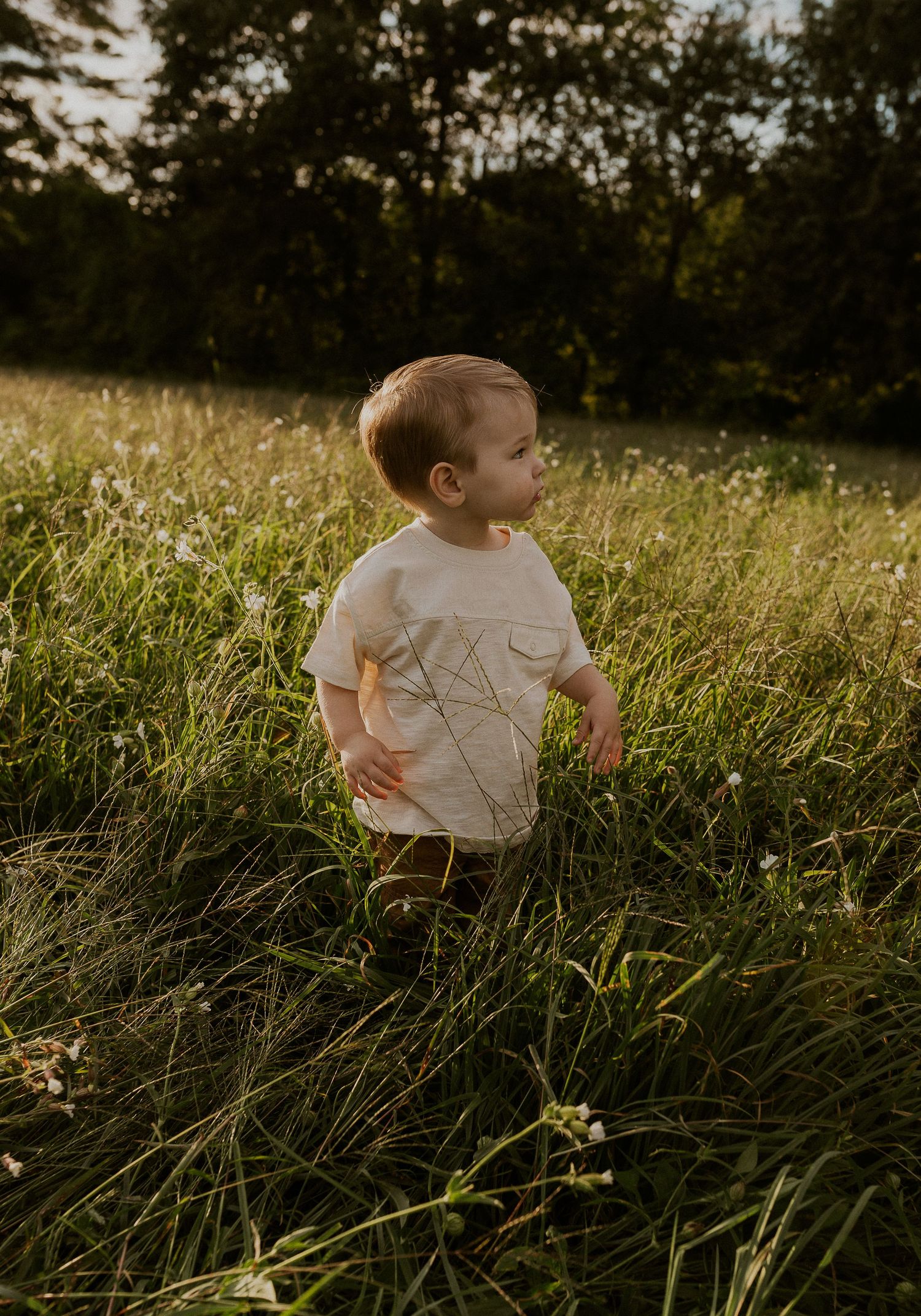 Small child walking through tall grass in a sunny field.