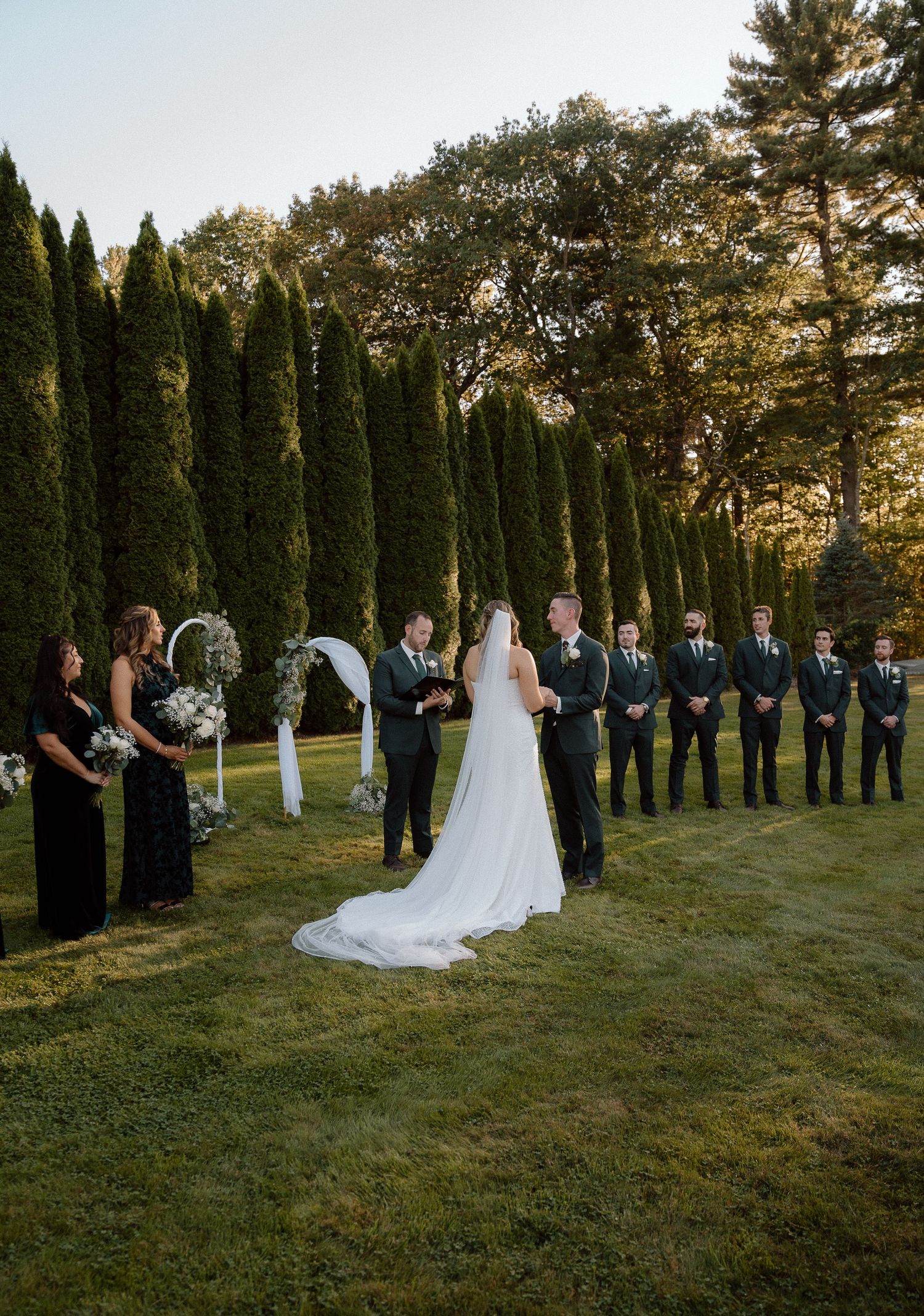 Wedding ceremony setup with white chairs and cypress trees creating natural outdoor cathedral effect.