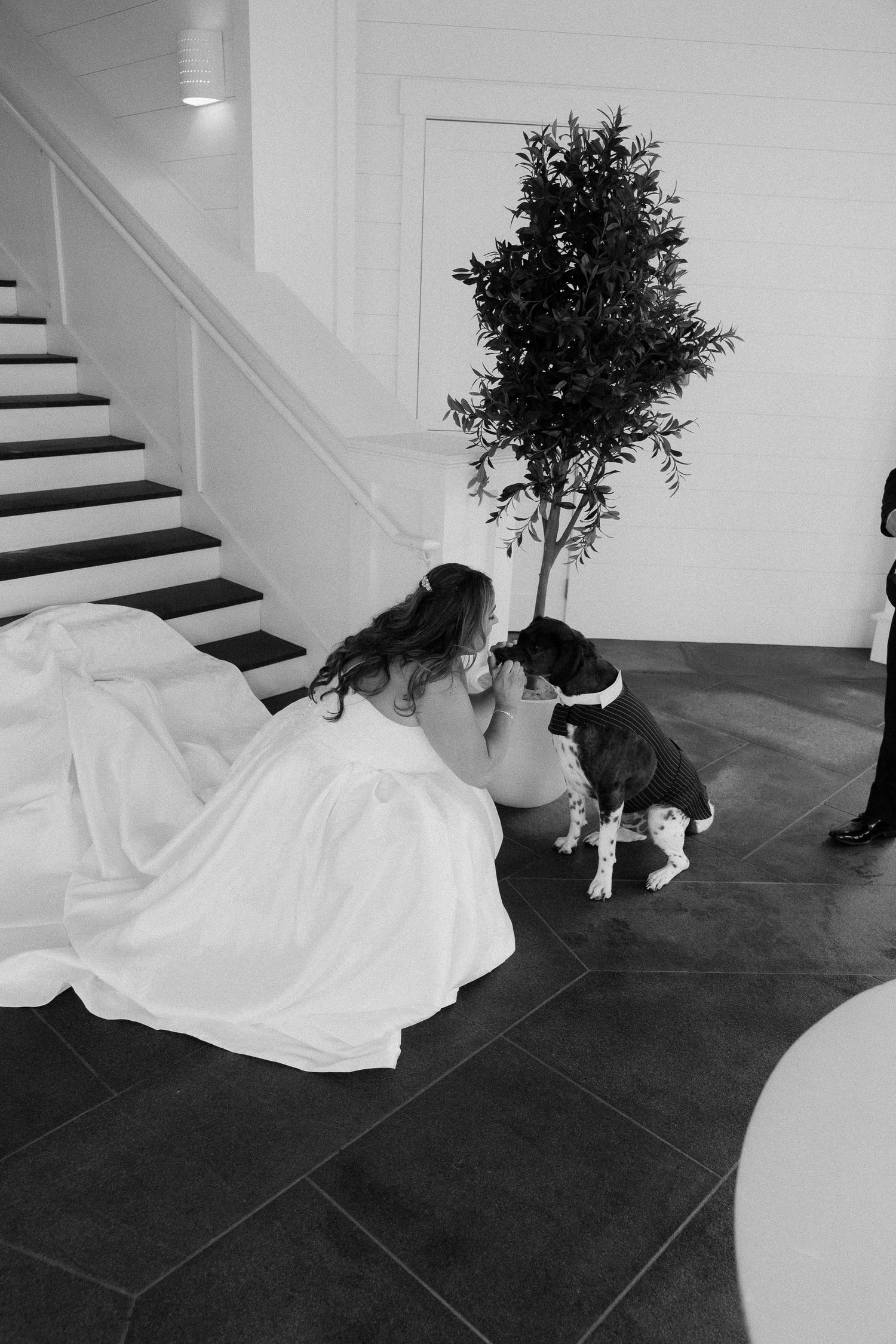Bride in white gown kneeling to greet her dog near a staircase and potted tree in black and white photo.