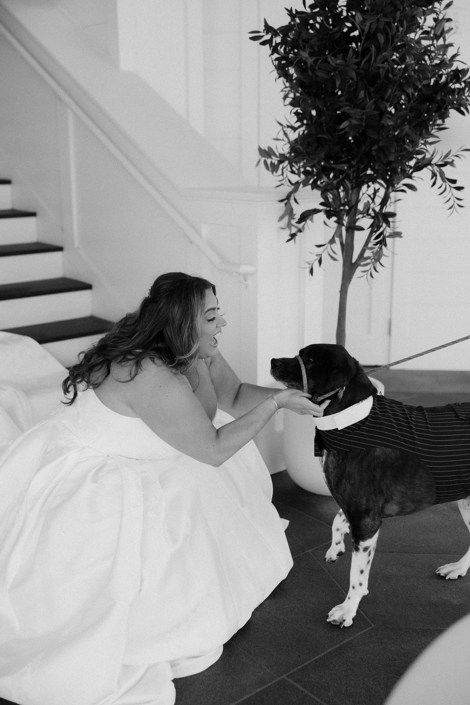 Bride in white gown kneeling to interact with a dressed dog near a staircase in a black and white photo.