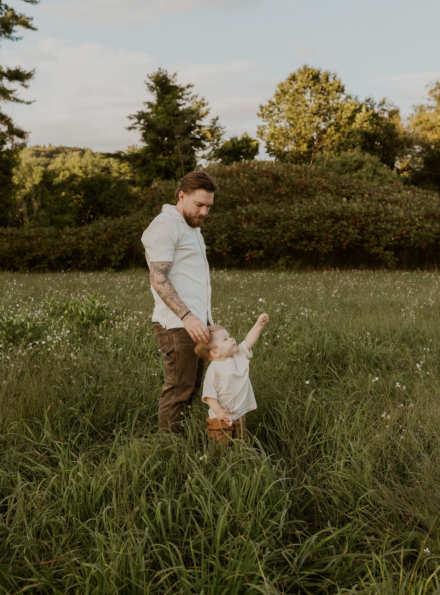 A playful moment captured in a meadow during golden hour.
