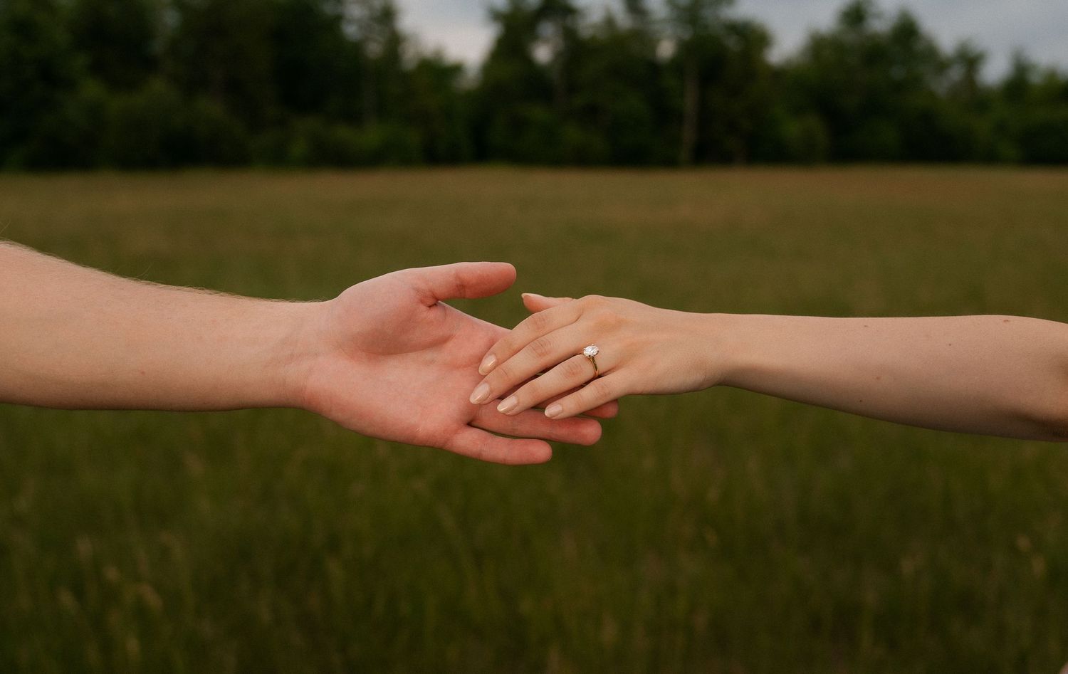 Two hands gently reaching toward each other in a tender touch against a blurred green field background.