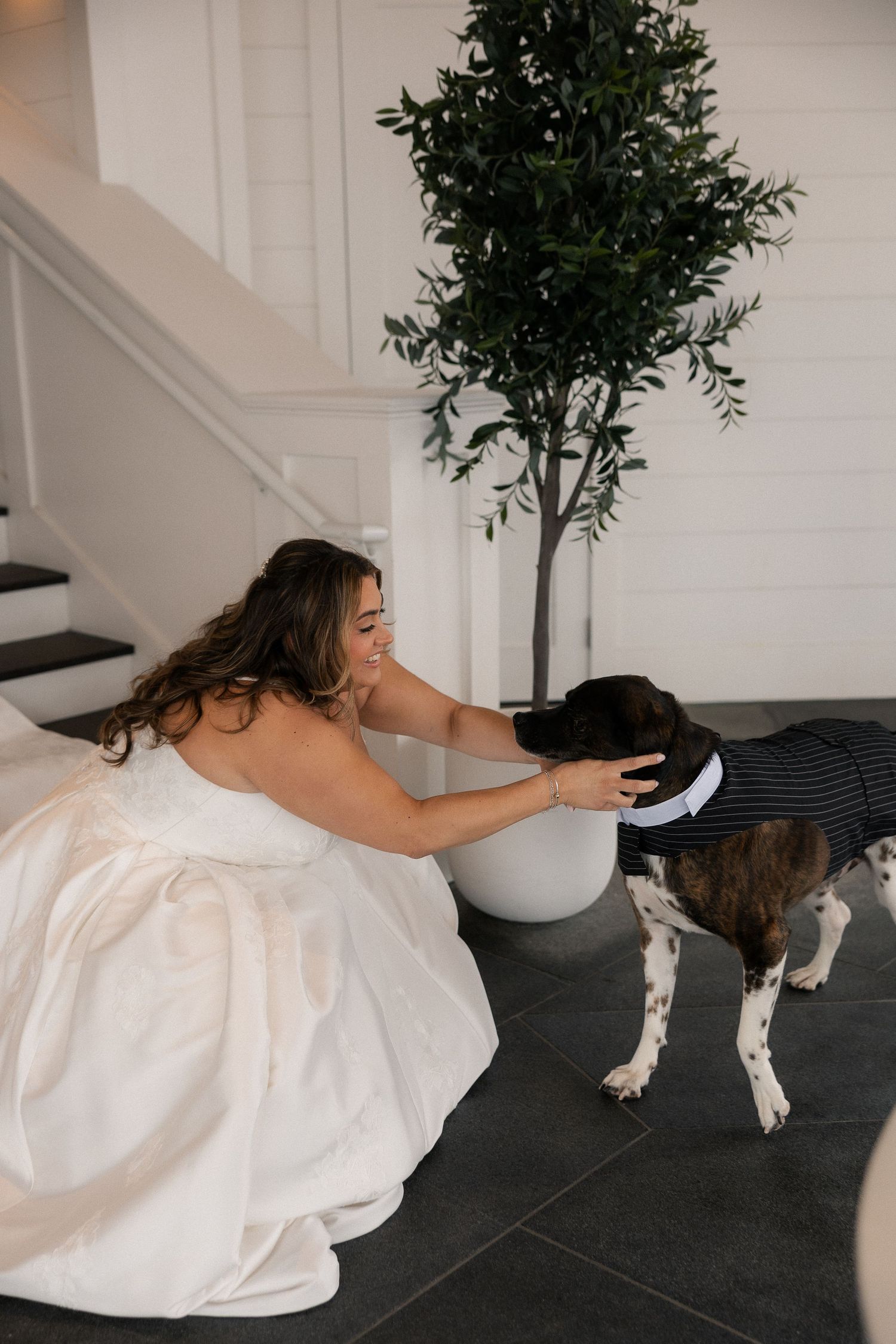 Bride in white gown crouches to pet a dog dressed in a striped suit inside an elegant white venue.
