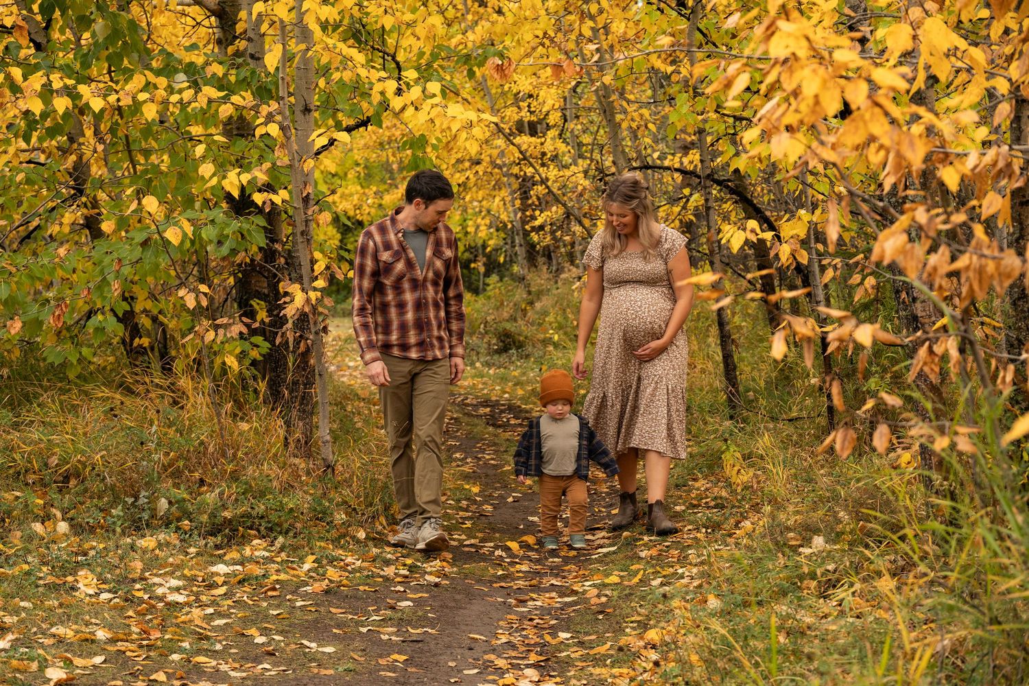 Pregnant woman and man walk with toddler on autumn forest path surrounded by golden yellow fall foliage.