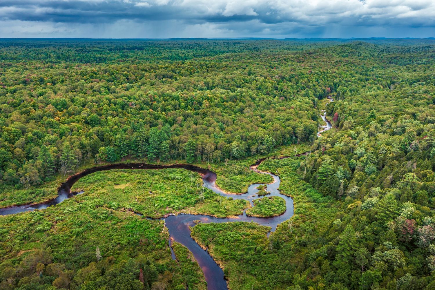 Aerial view of a winding river cutting through dense green forest and wetlands in the Adirondacks, showing untouched wilderness and beauty