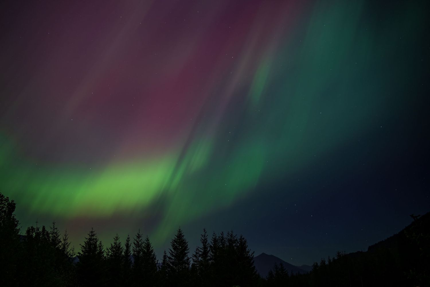 Vibrant green and magenta aurora borealis lighting up the night sky over Snoqualmie Point Park, Washington, above silhouetted forest peaks