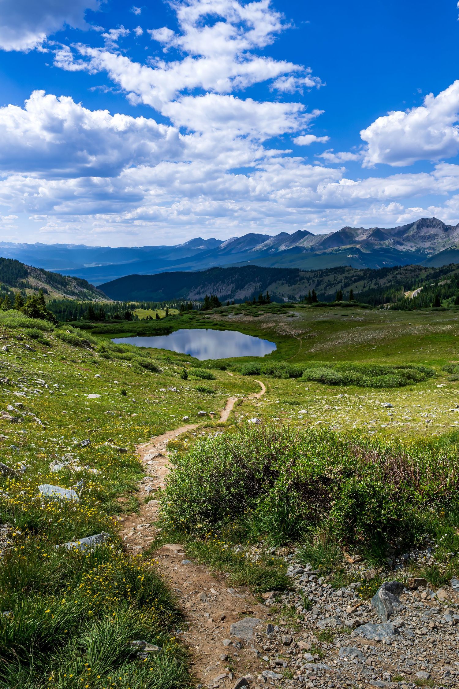 Rocky trail winding through lush alpine meadows toward a reflective lake at Cottonwood Pass, Colorado, surrounded by dramatic mountain peaks