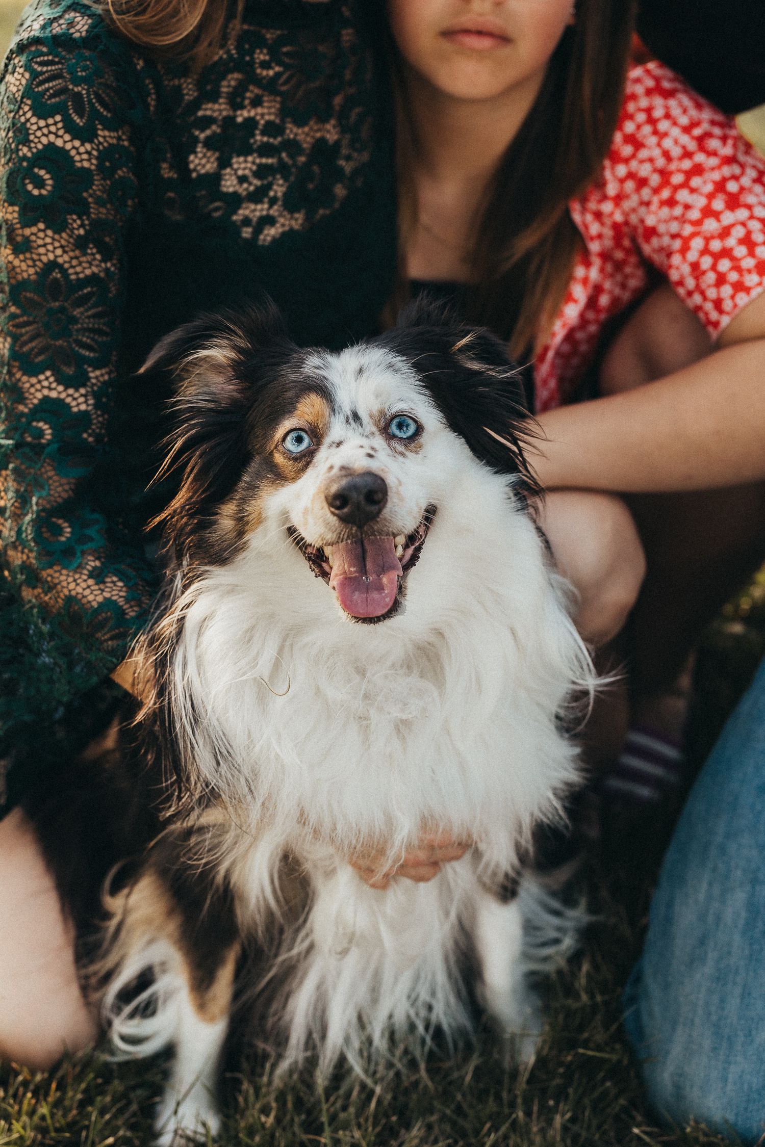 Two girls sitting on grass with an adorable tri-color Australian Shepherd dog with striking blue eyes and tongue out.