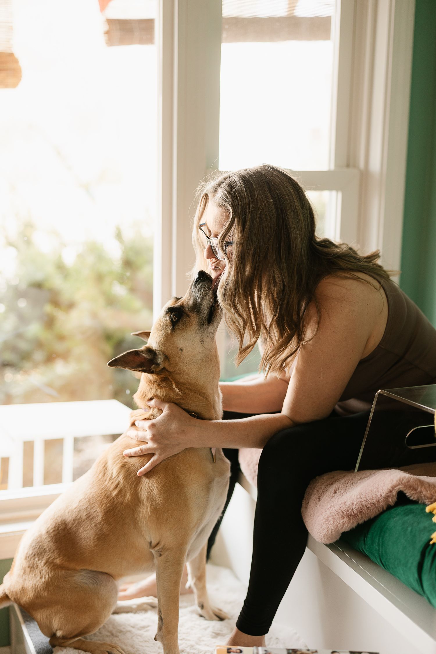 Person playing and bonding with their dog by a sunny window in casual home setting.