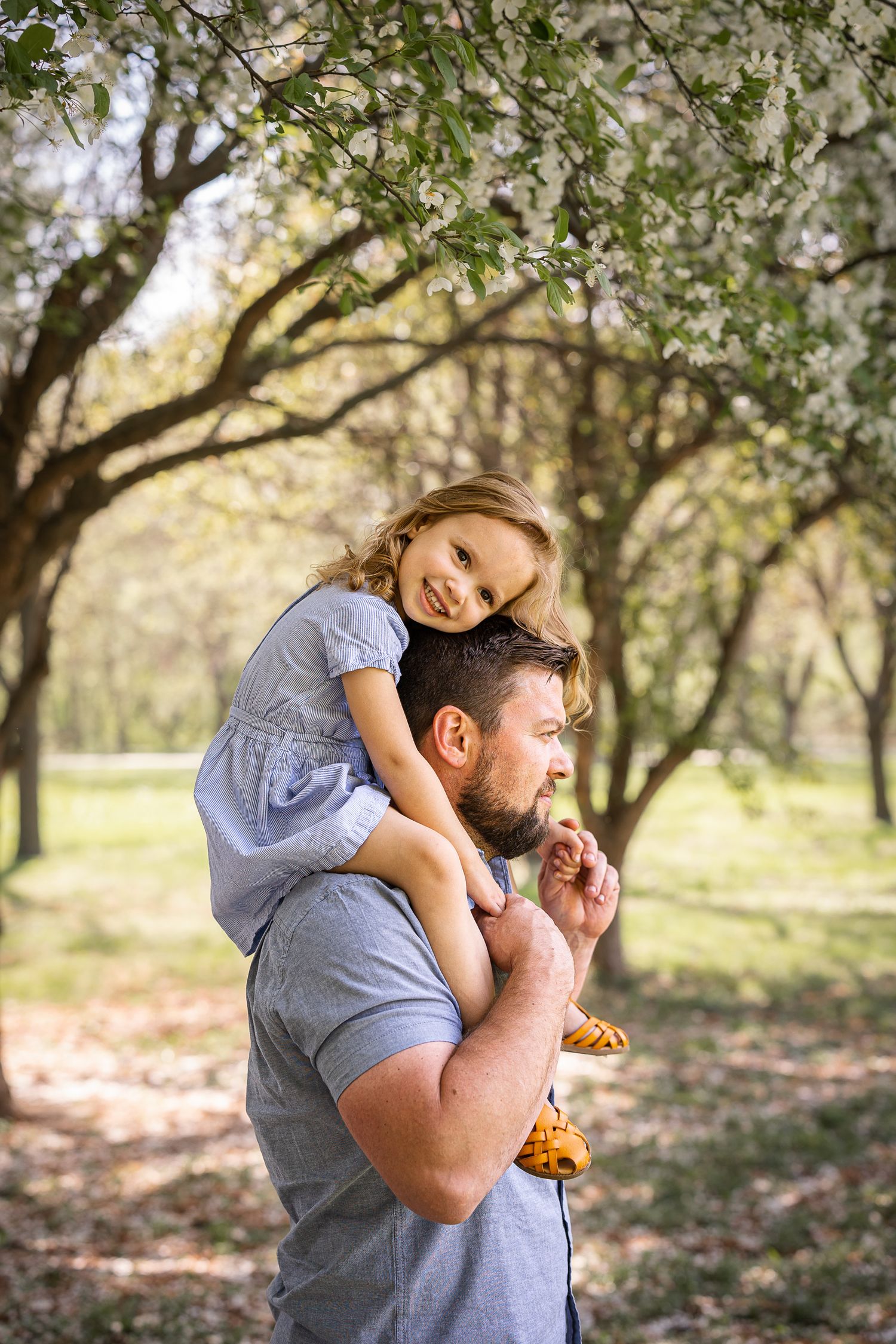 Father carrying smiling daughter on his shoulders in a blooming spring park, enjoying a sunny outdoor family moment.