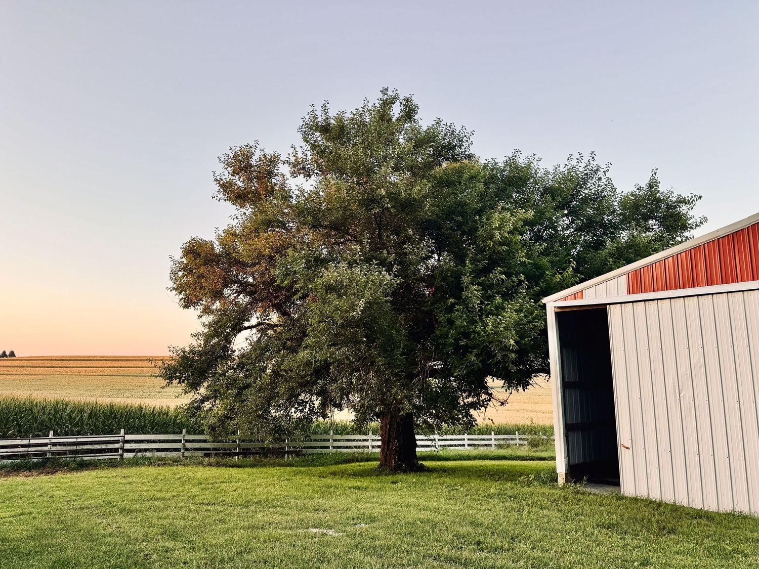 White barns and fences line a scenic rural property with trees against a sunset sky and green pastures.
