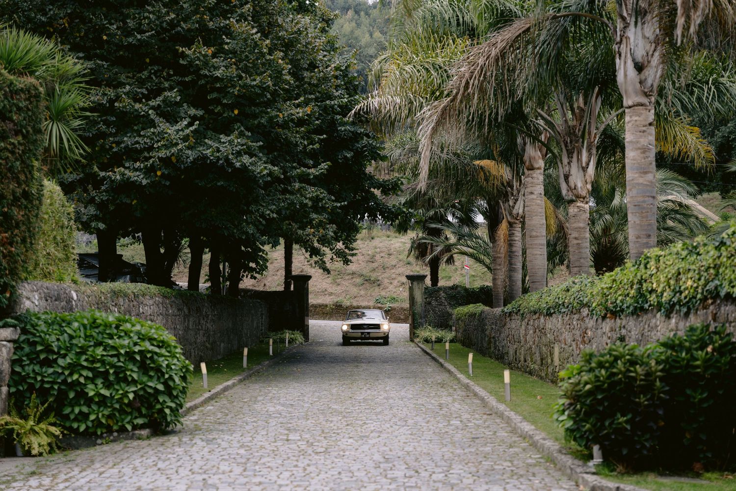 Fotógrafo de casamento em [cidade], especializado em registrar momentos únicos com fotos que se transformam em álbuns e impressos de alta qu