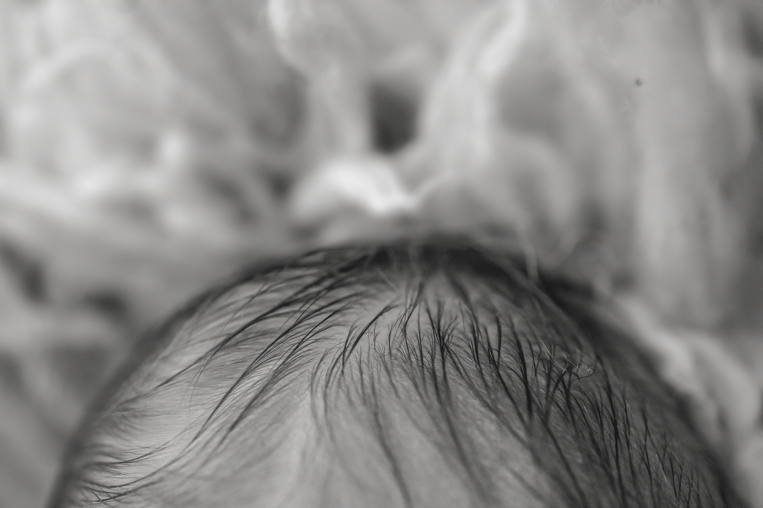 Close-up black and white photo of a newborn baby's head with fine soft hair.