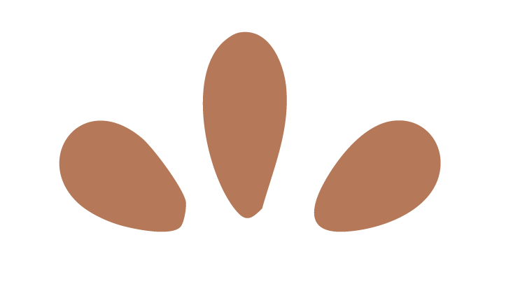 Three brown teardrop-shaped seed or petal icons arranged in a fan pattern on a white background.