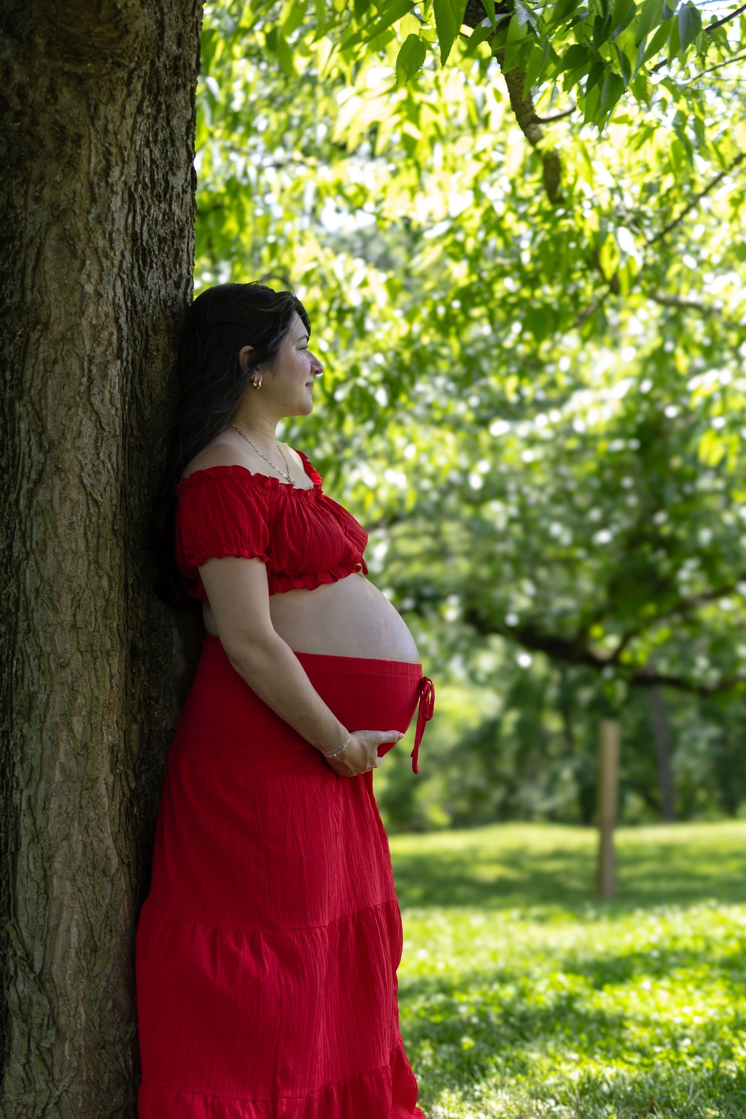 Pregnant woman in red dress leaning against tree in lush green park, cradling baby bump.