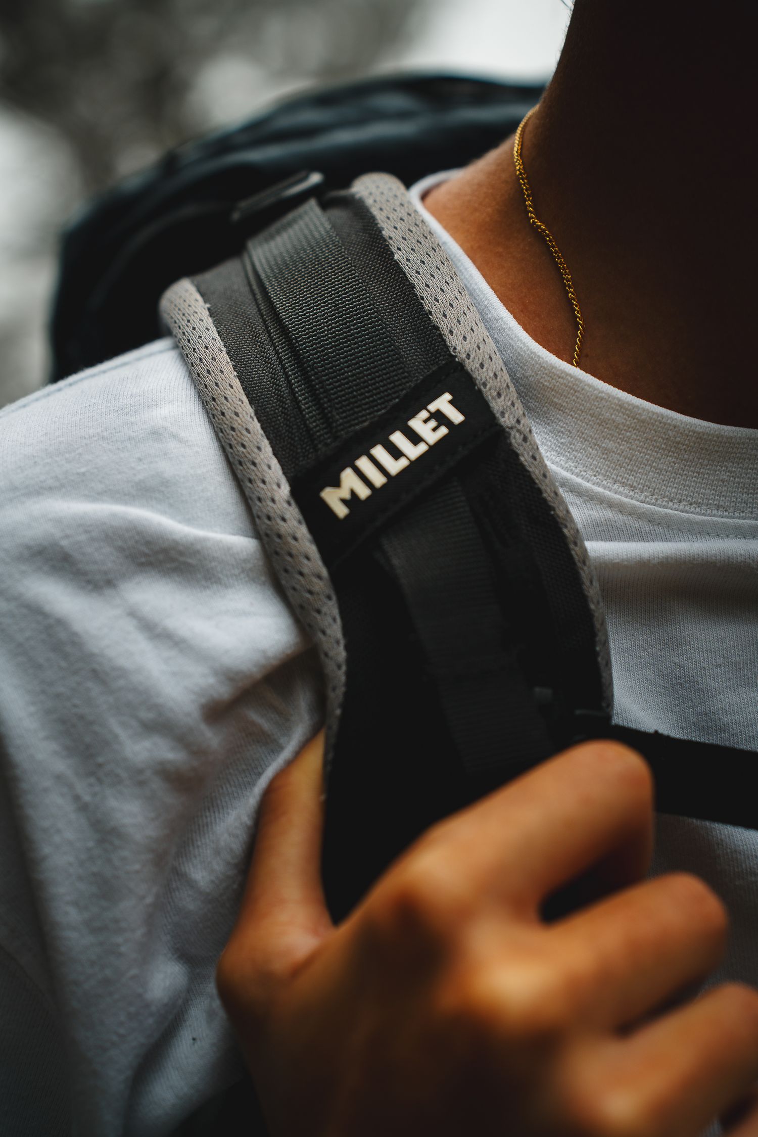 Millet,
