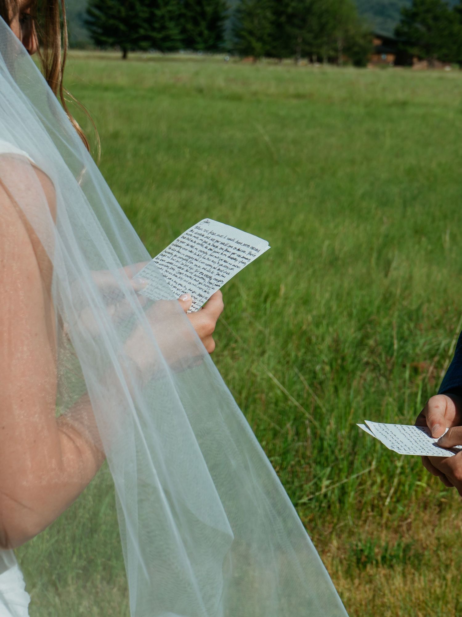 Bride in a white dress and veil reads handwritten wedding vows outdoors in a lush green meadow setting.