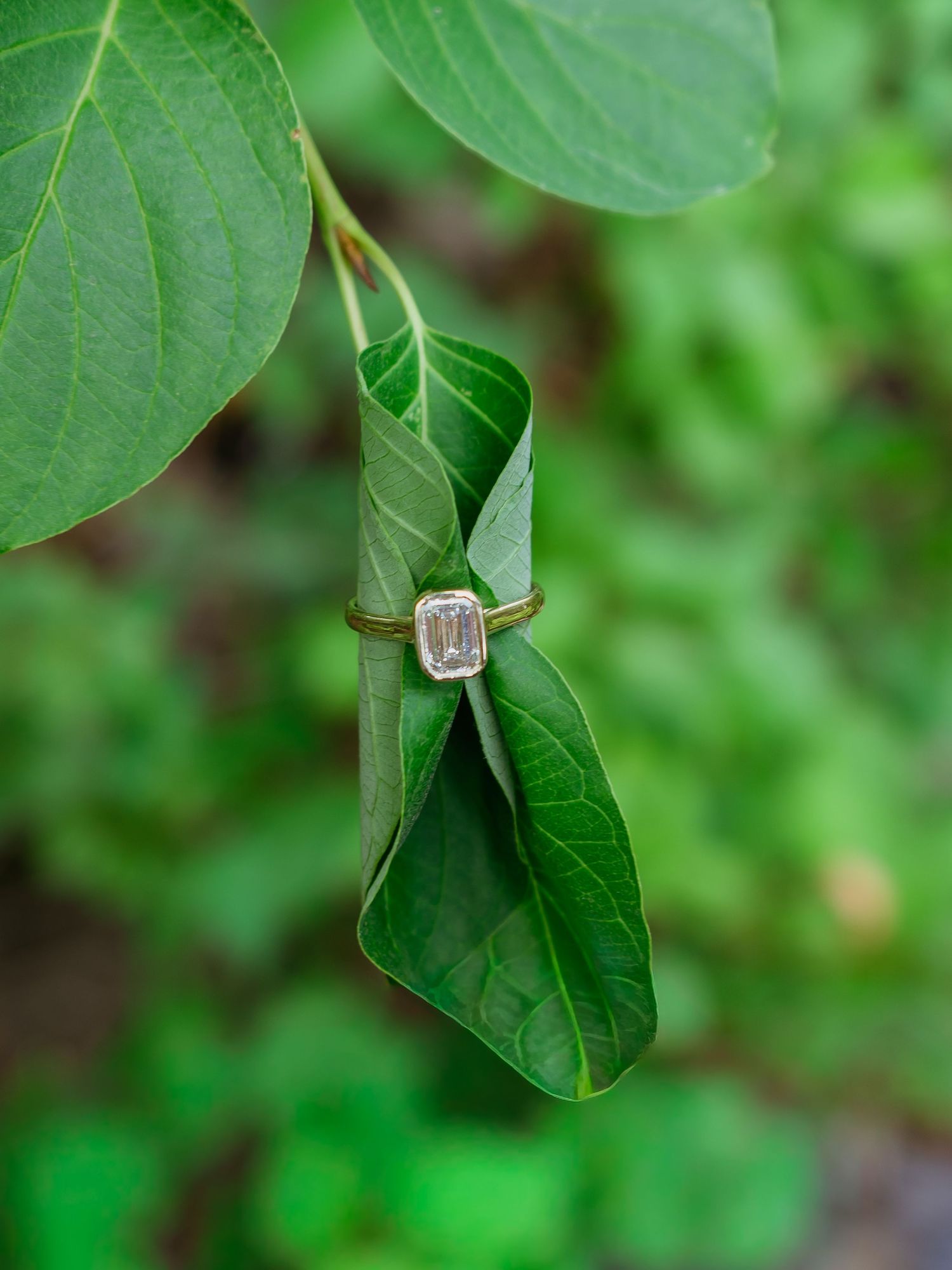 Emerald cut diamond ring displayed on green leaves in a natural outdoor setting.