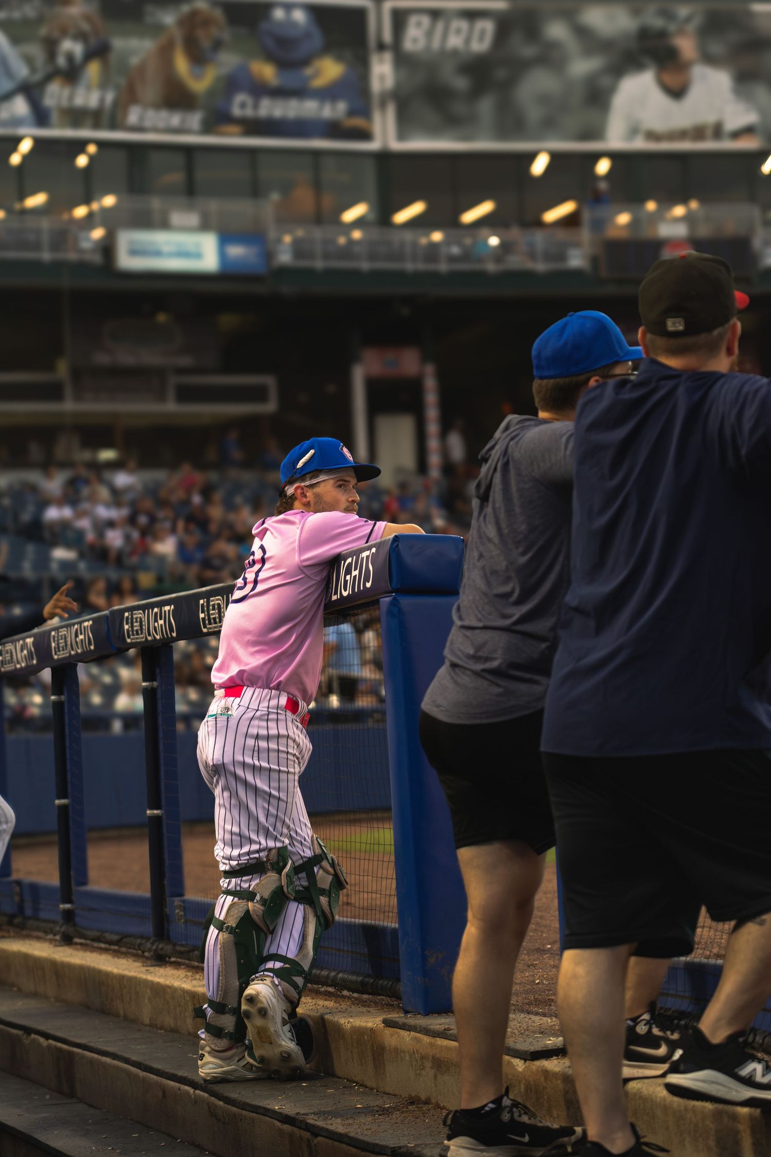 catcher watching play