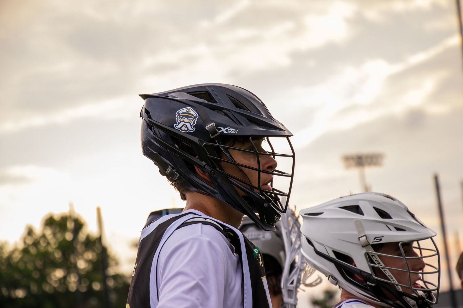 looking at field