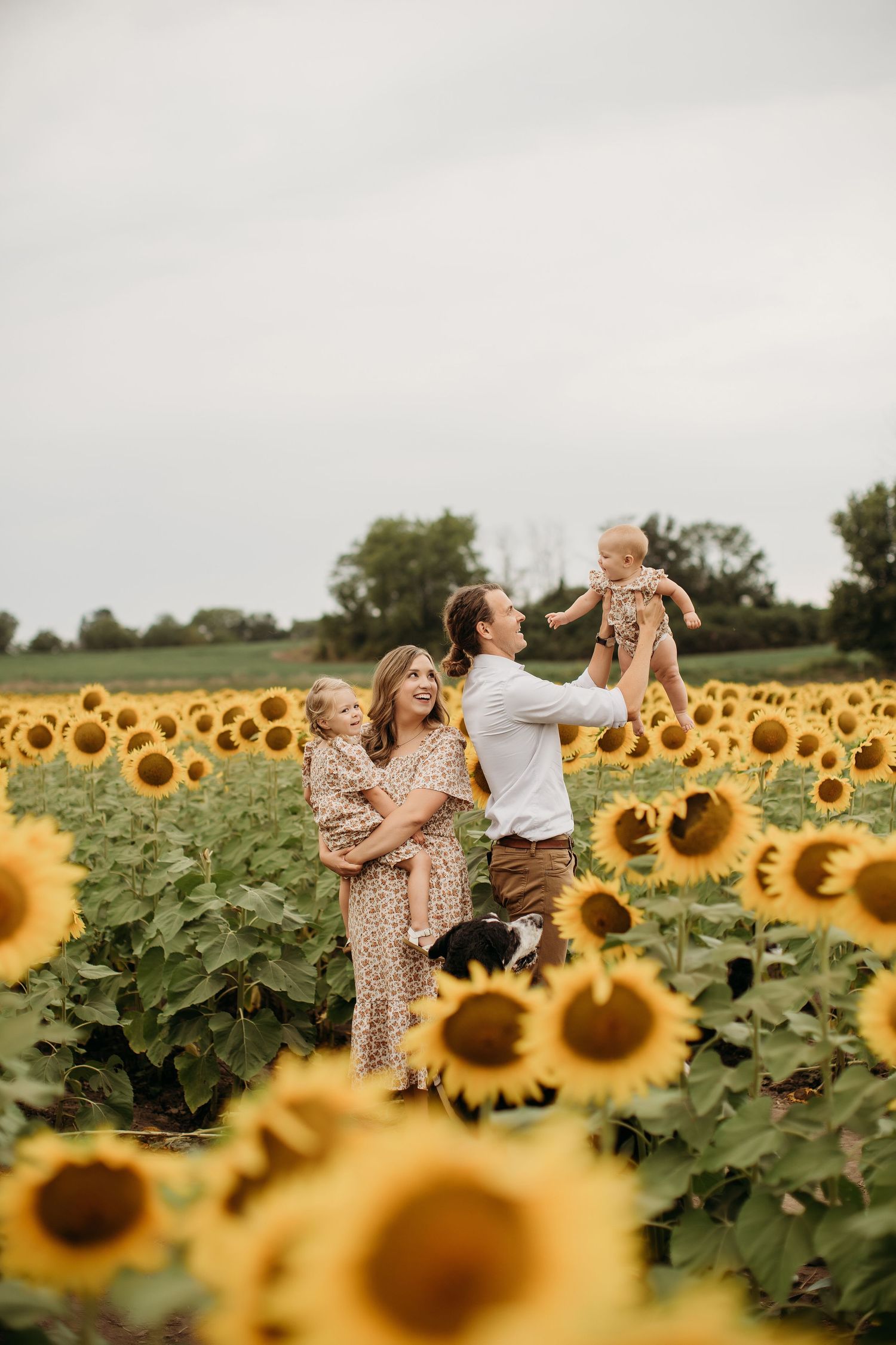 Family laughing together in sunflower field during Lawrence Kansas family photography session