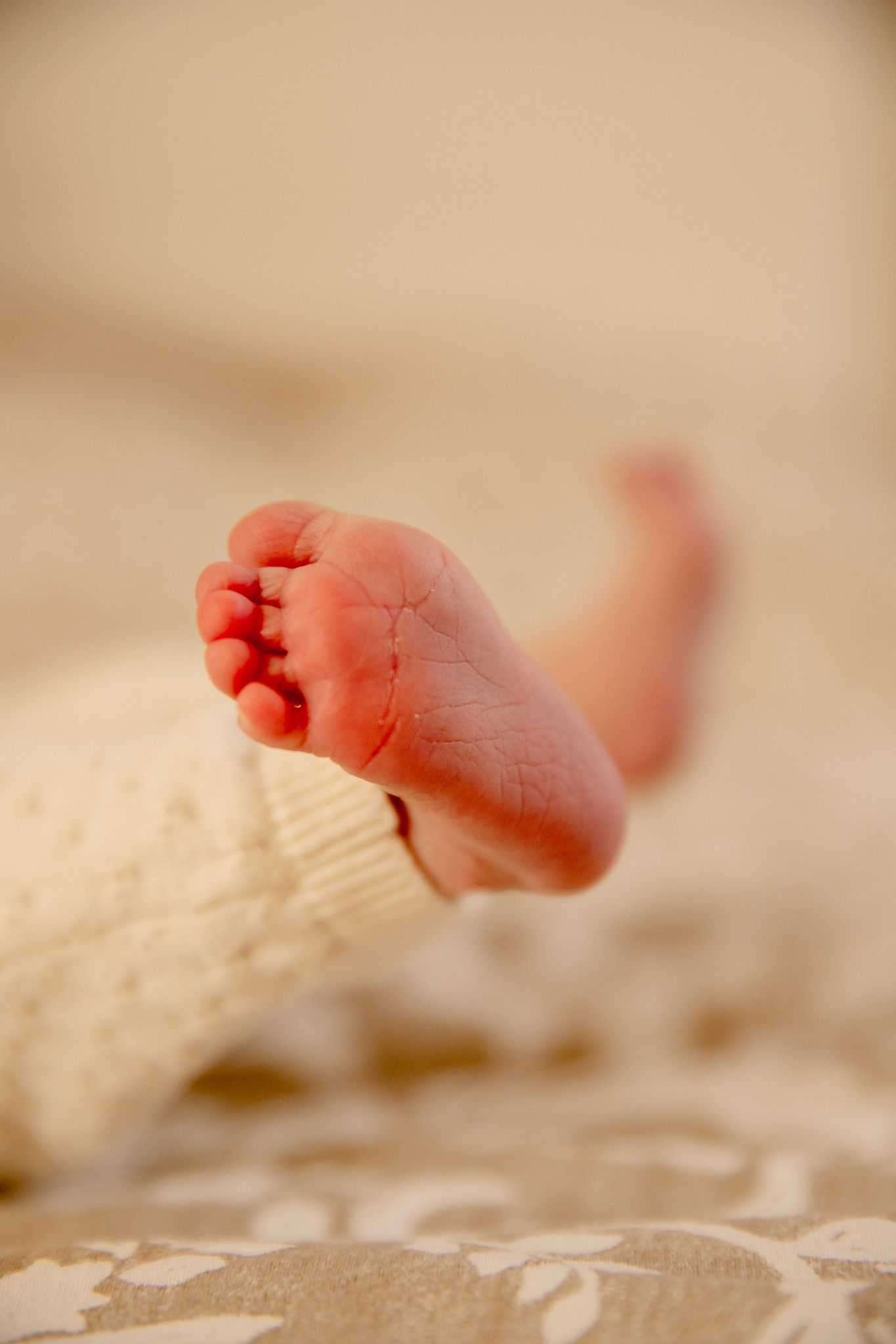 Thynea Photography shooting naissance en Normandie Caen Lisieux