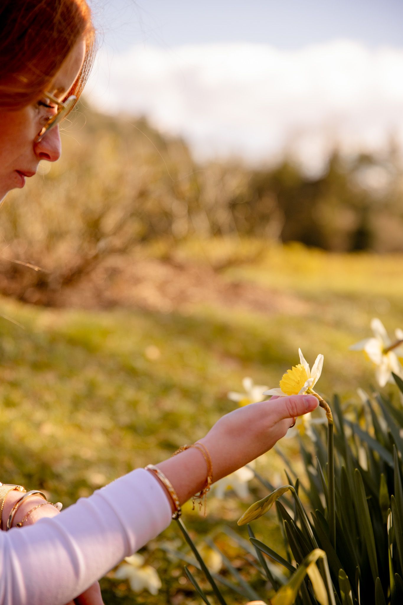 Shooting photo Colline aux oiseaux Caen
