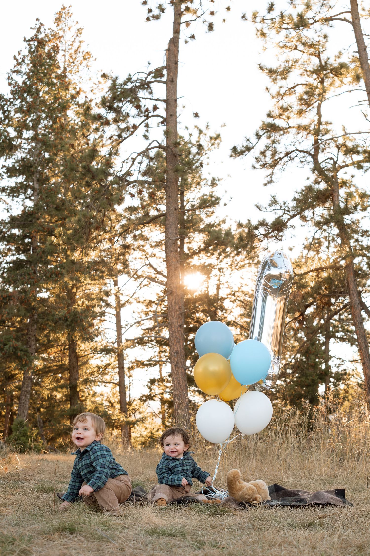 One year old milestone portraits of two twin boys with balloons in the forest area of Mt Falcon West.