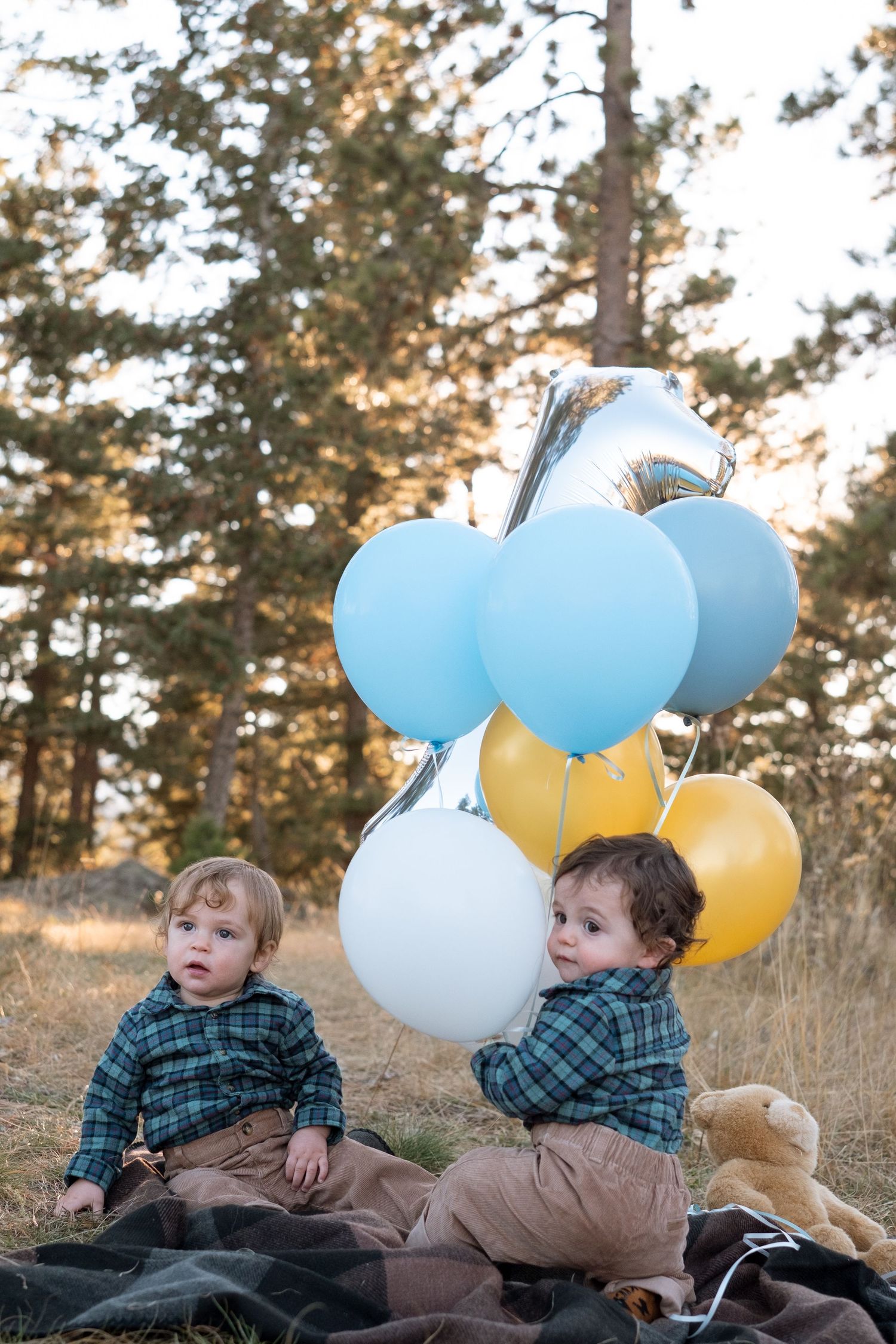 One year old milestone portraits of two twin boys with balloons in the forest area of Mt Falcon West.