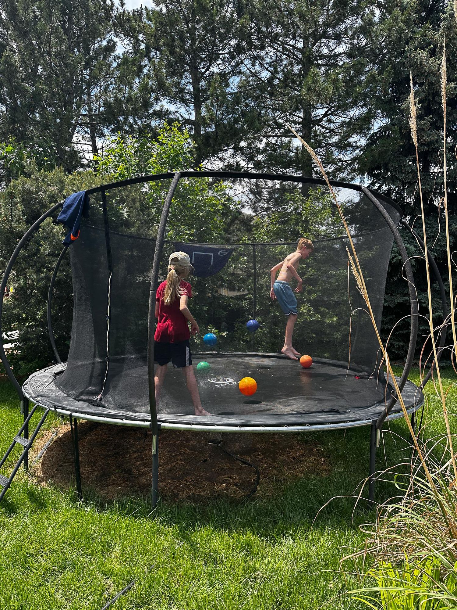 Denver photographer's project 365, June, children playing on trampoline.