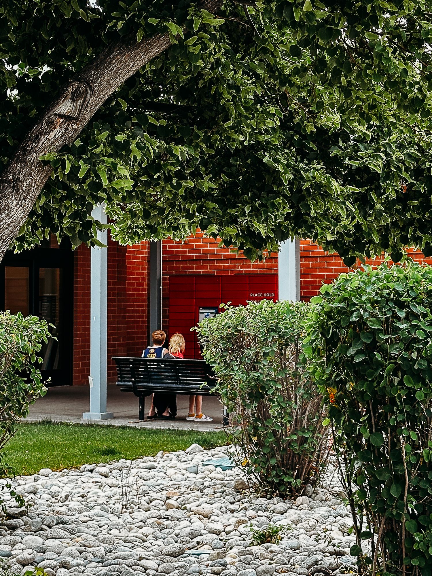 Denver photographer's project 365, June, children waiting on bench by library under canopy of trees.
