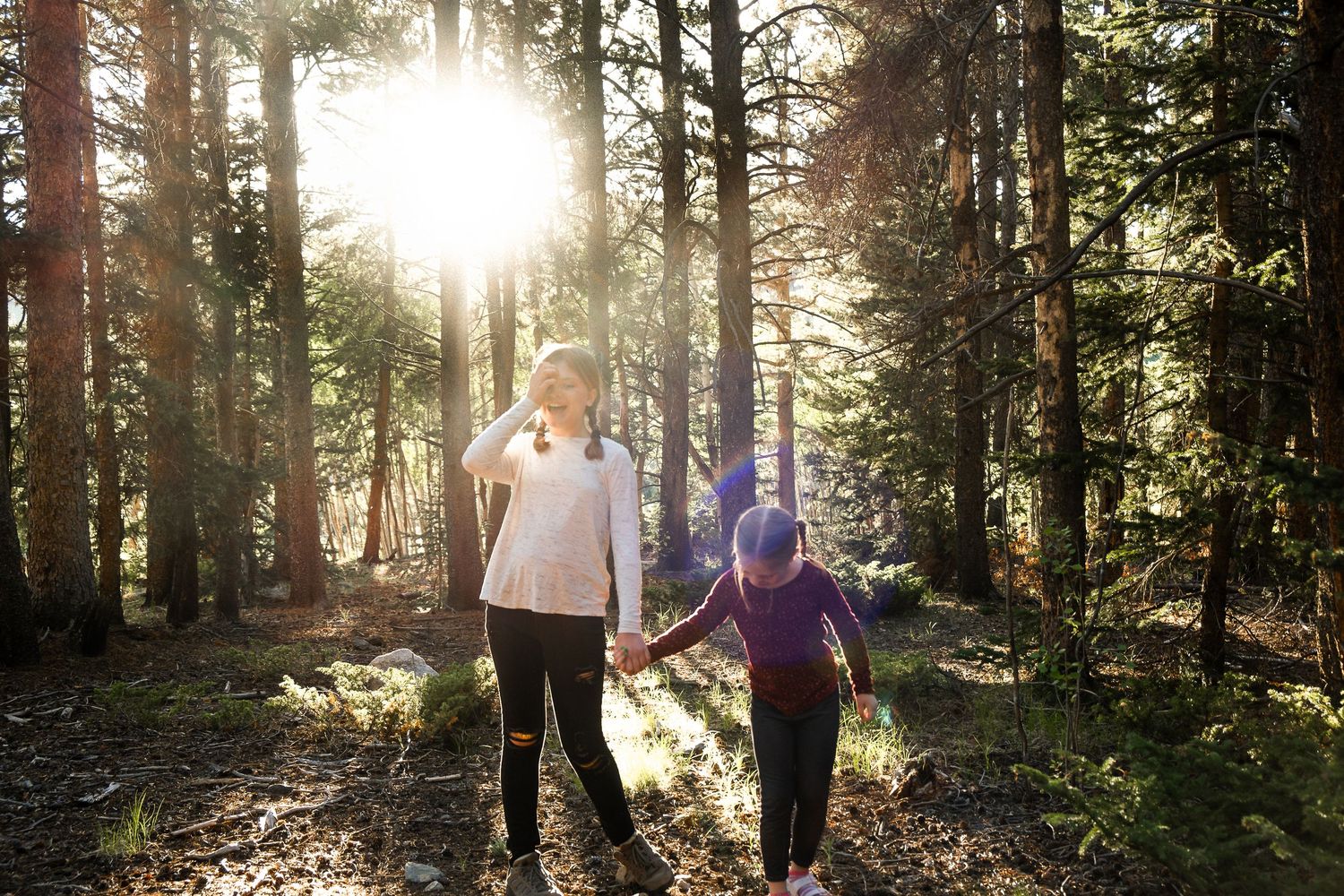 Two sisters walking hand in hand in the forest of Jefferson, Colorado, sunbeam peaking through tall evergreen trees.