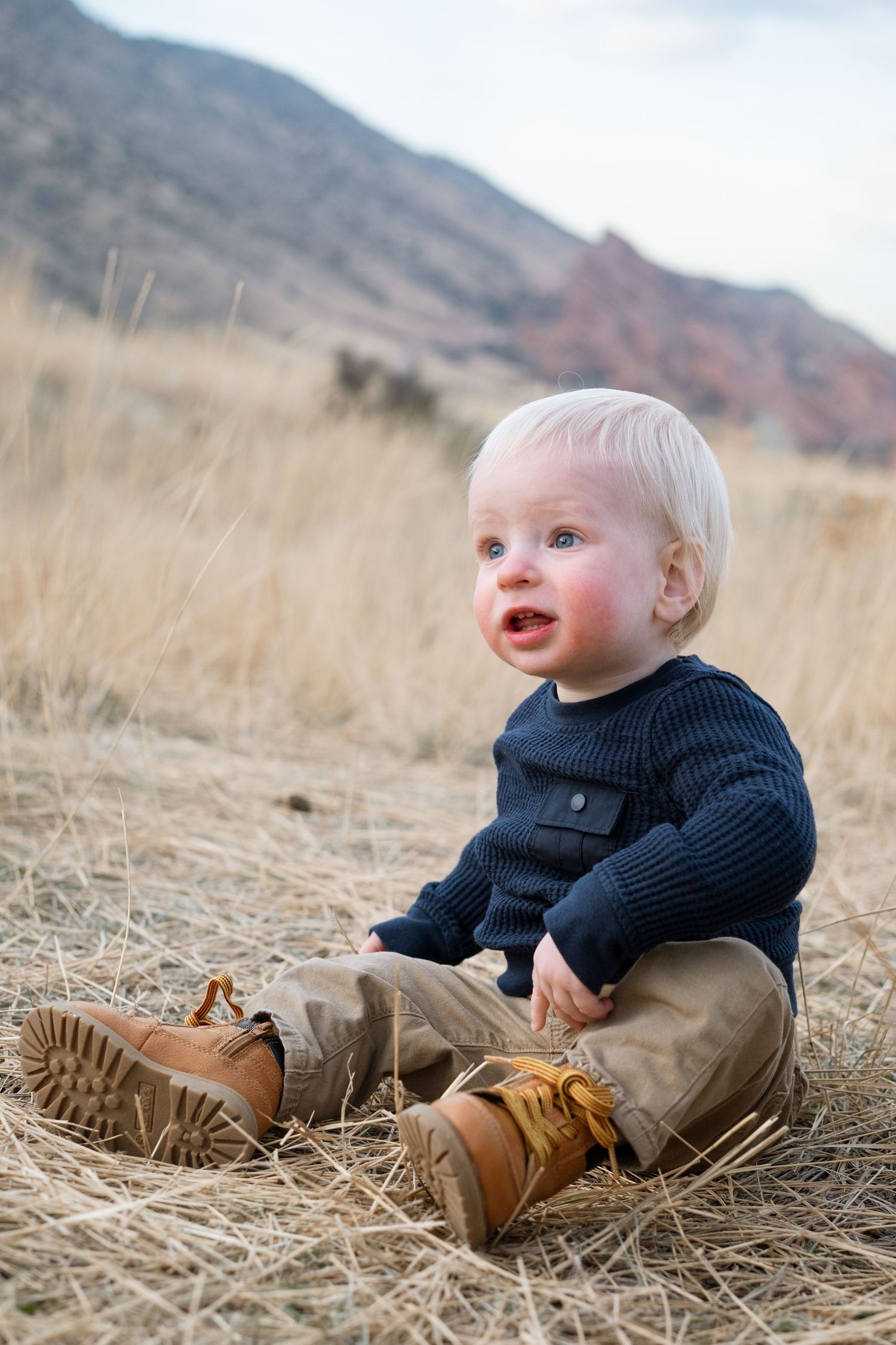 Portrait of one year old boy sitting in field of fall grasses, Red Rocks in the background.