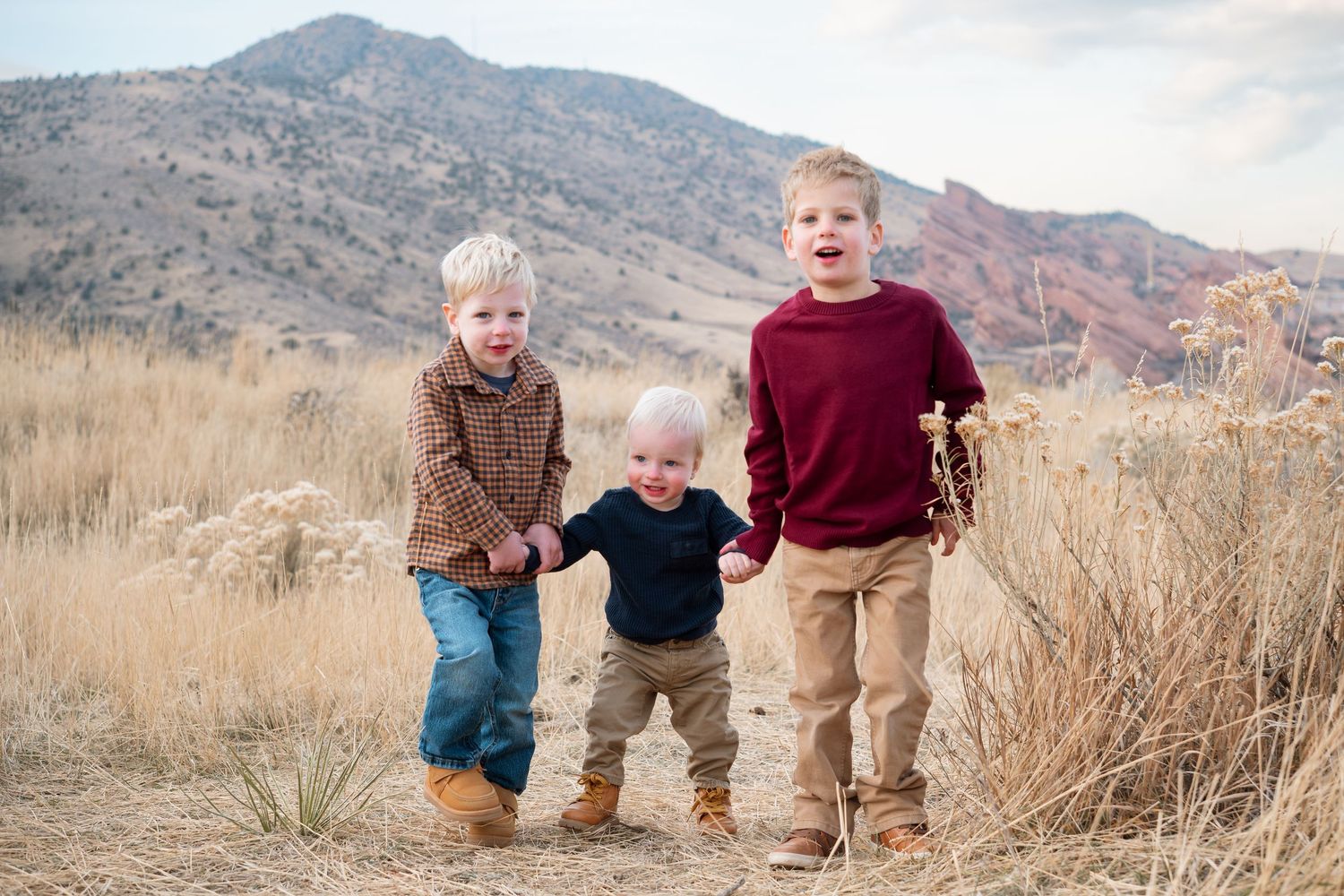 Three young brothers walking in field at Mount Falcon East in Morrison, Colorado.